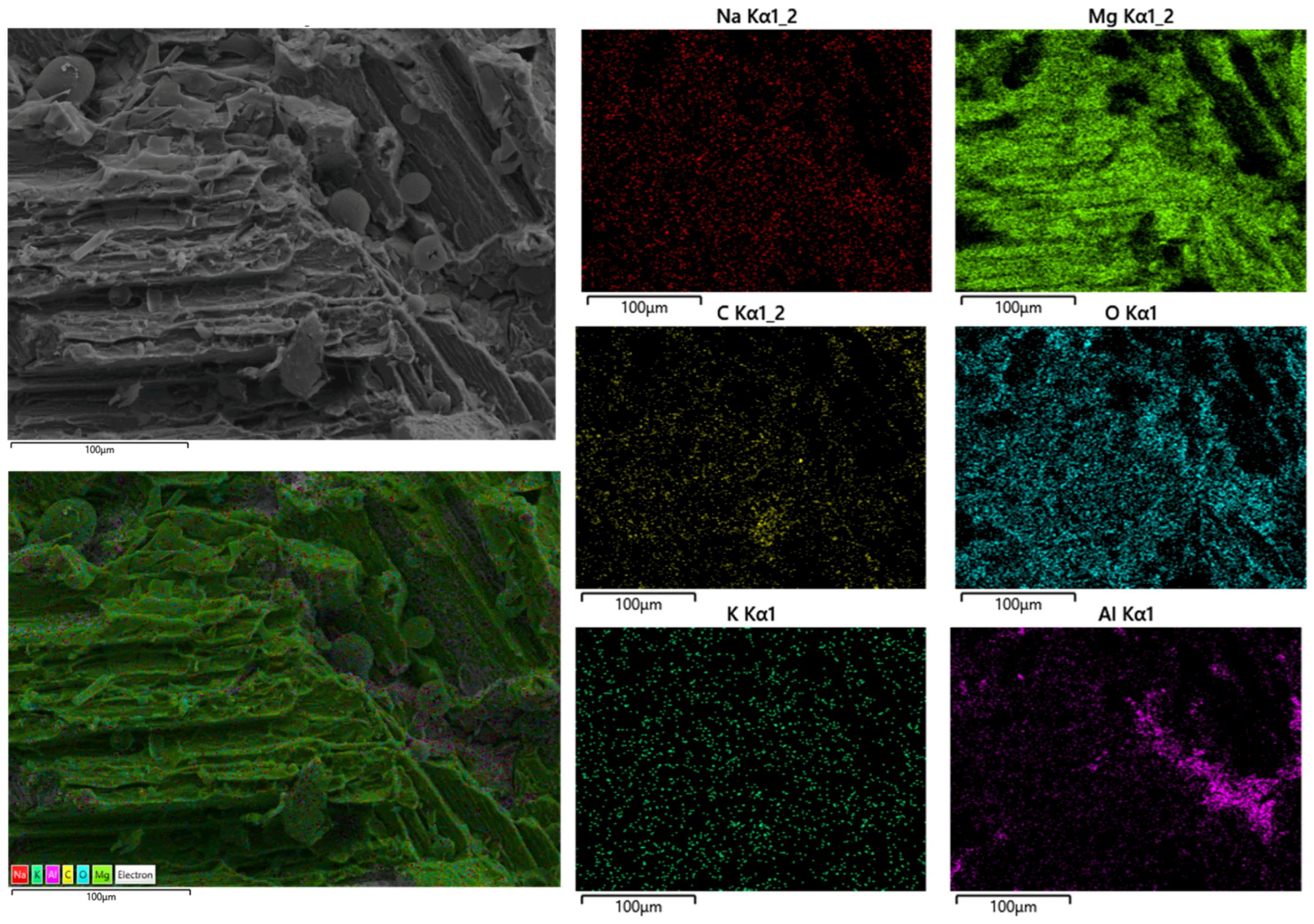 Surfaces 07 00007 g012
