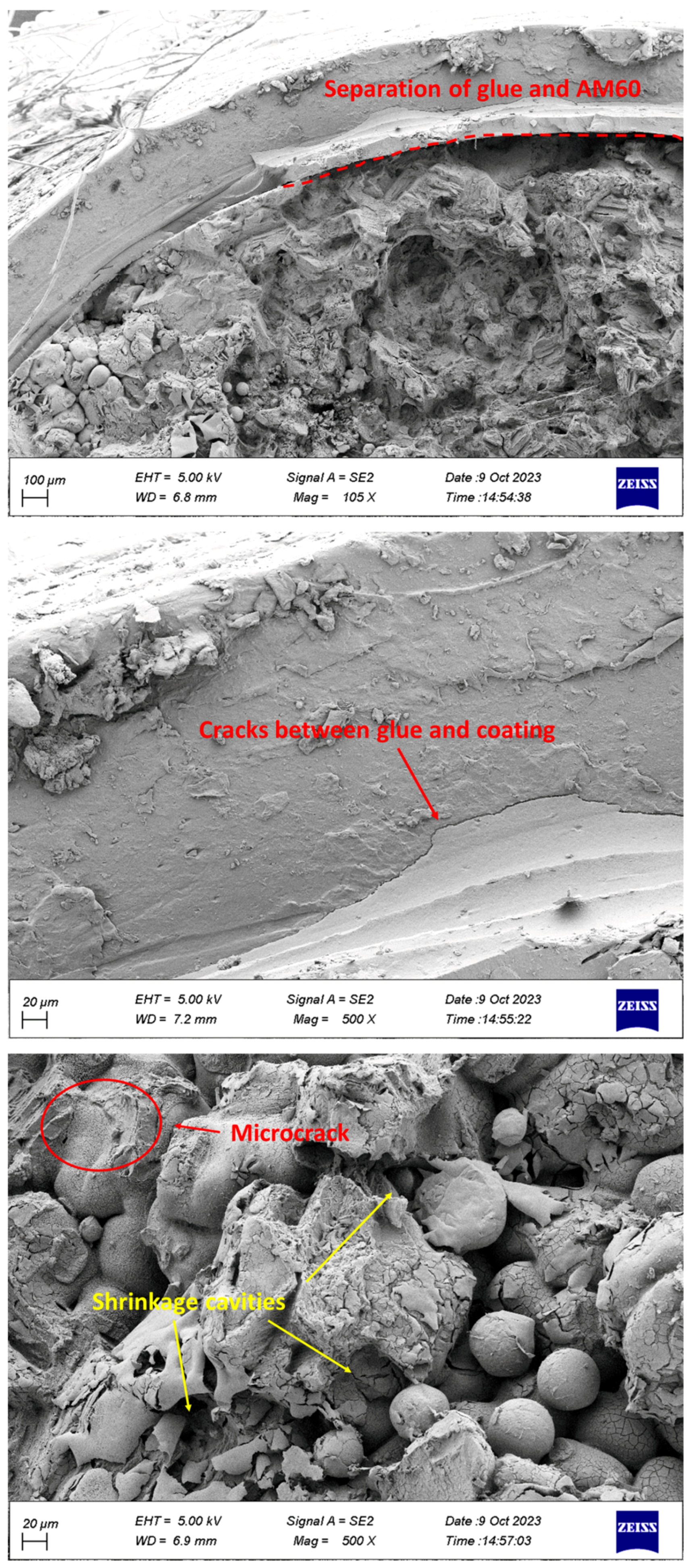 Surfaces 07 00007 g013
