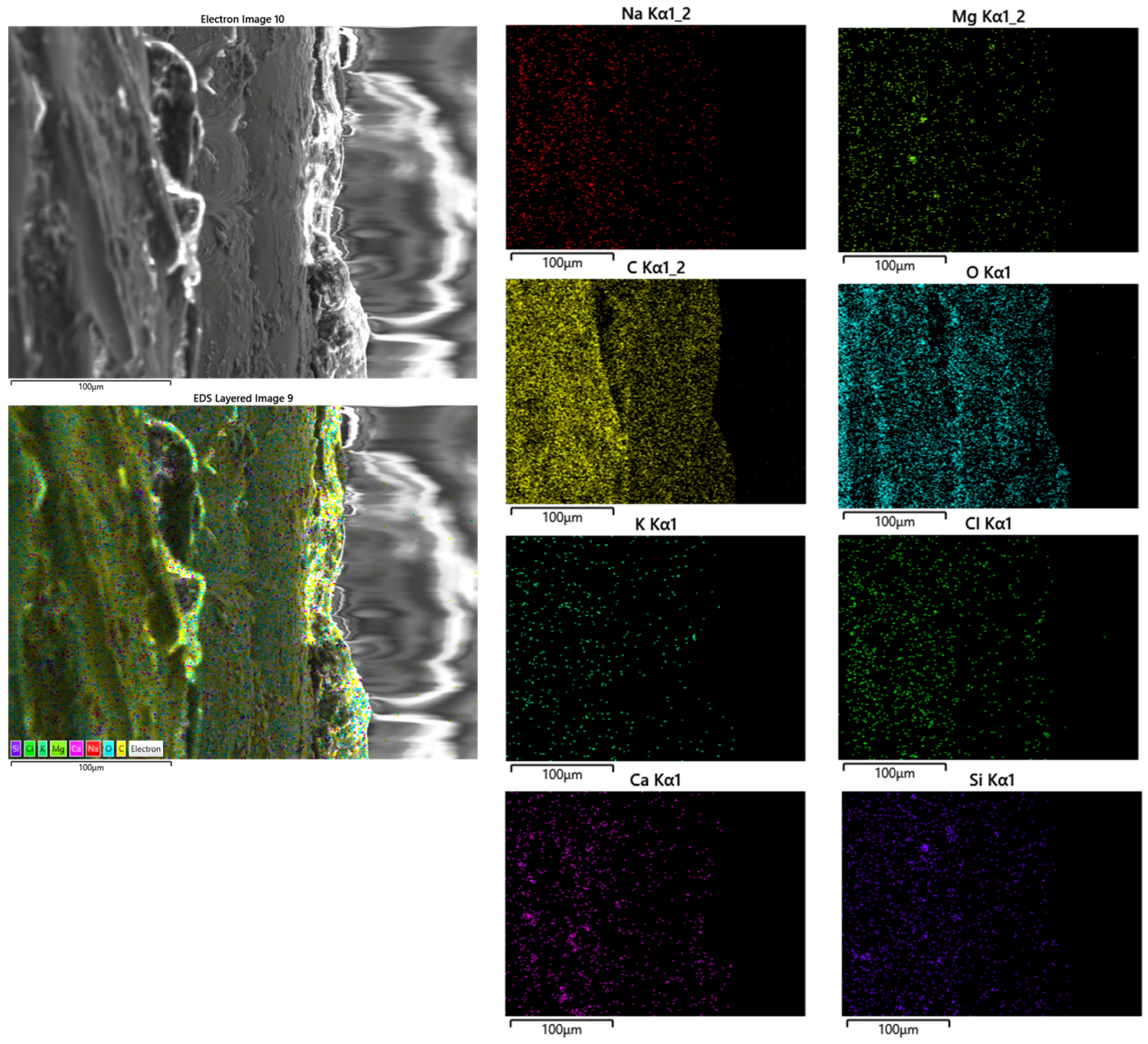 Surfaces 07 00007 g014