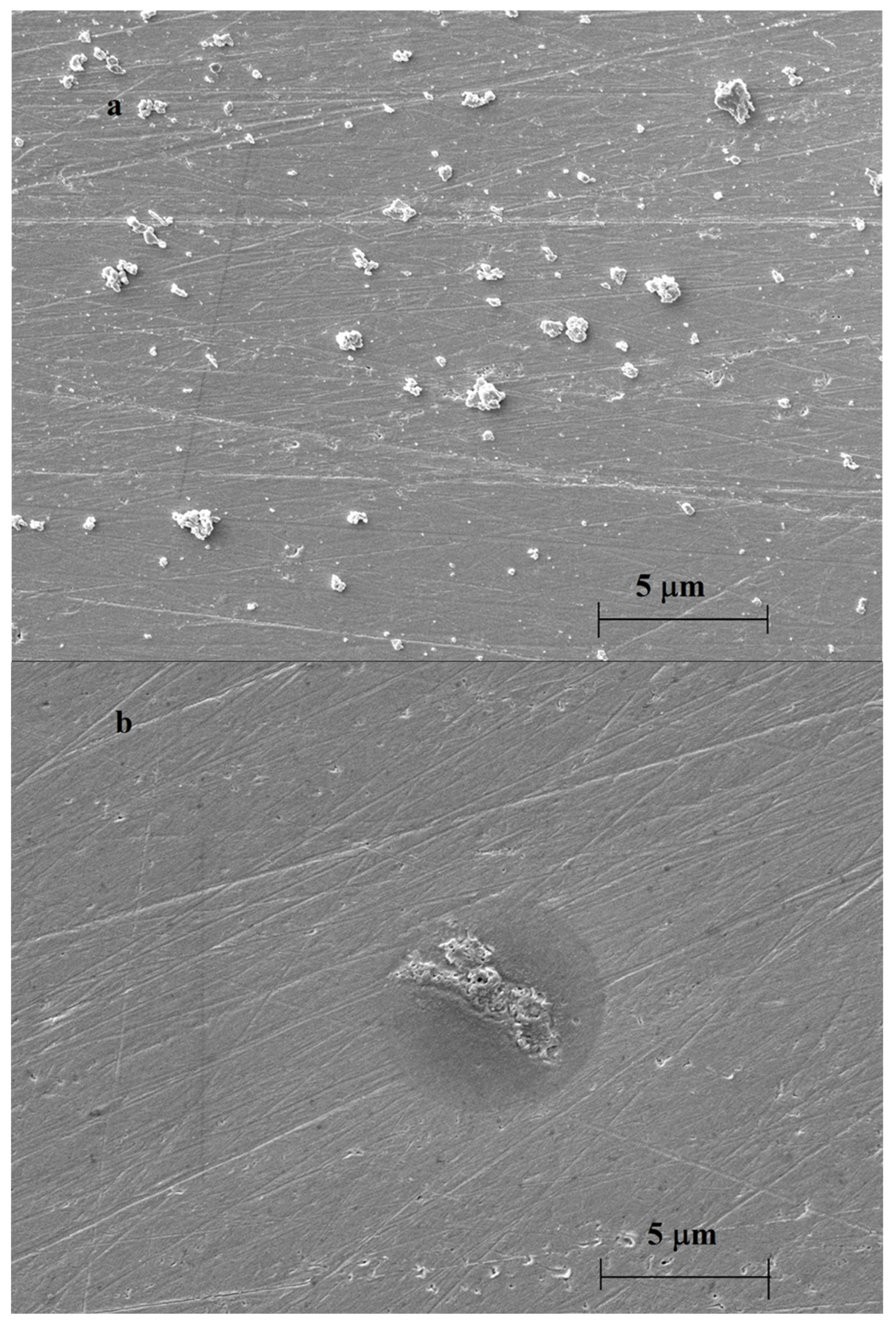 Surfaces 07 00011 g004a