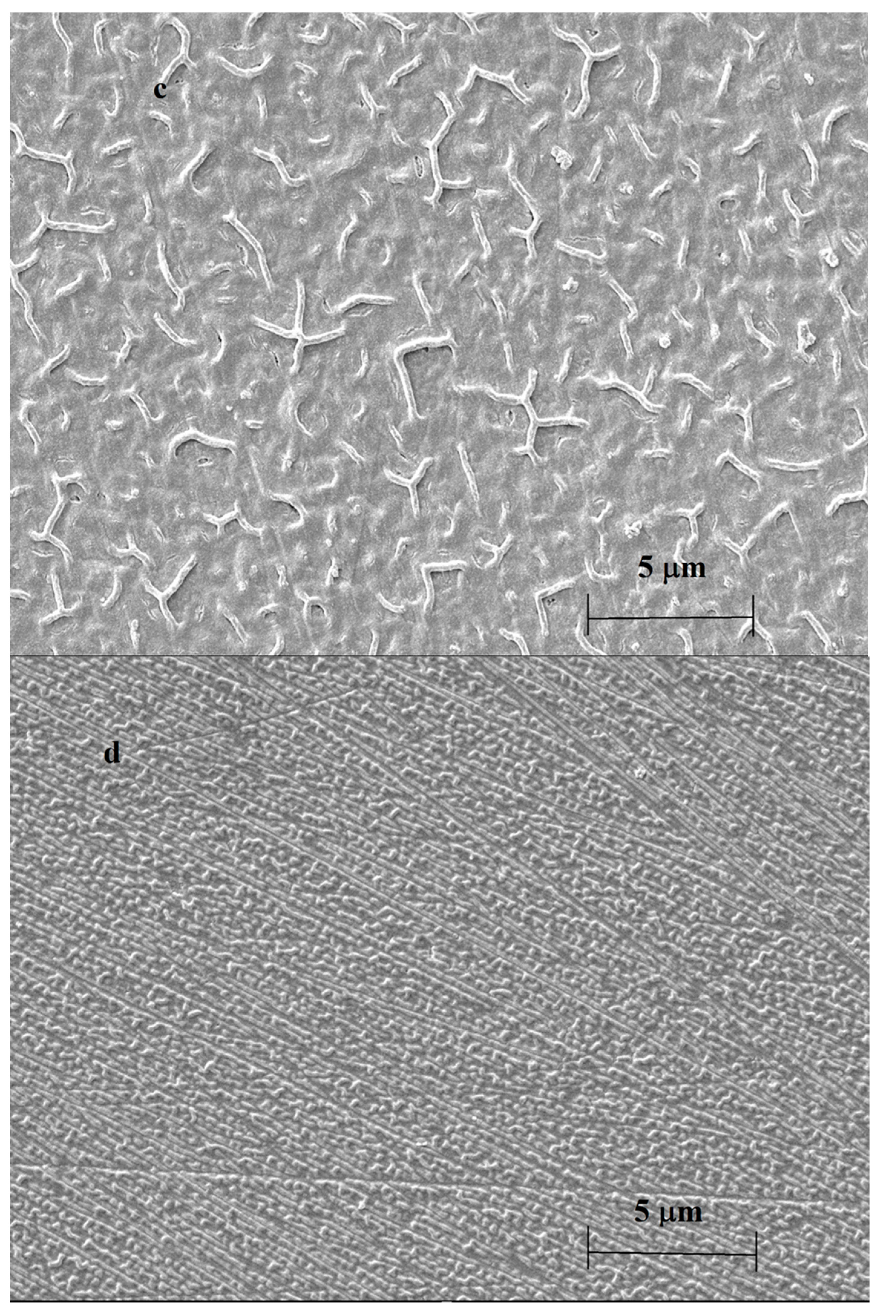 Surfaces 07 00011 g004b