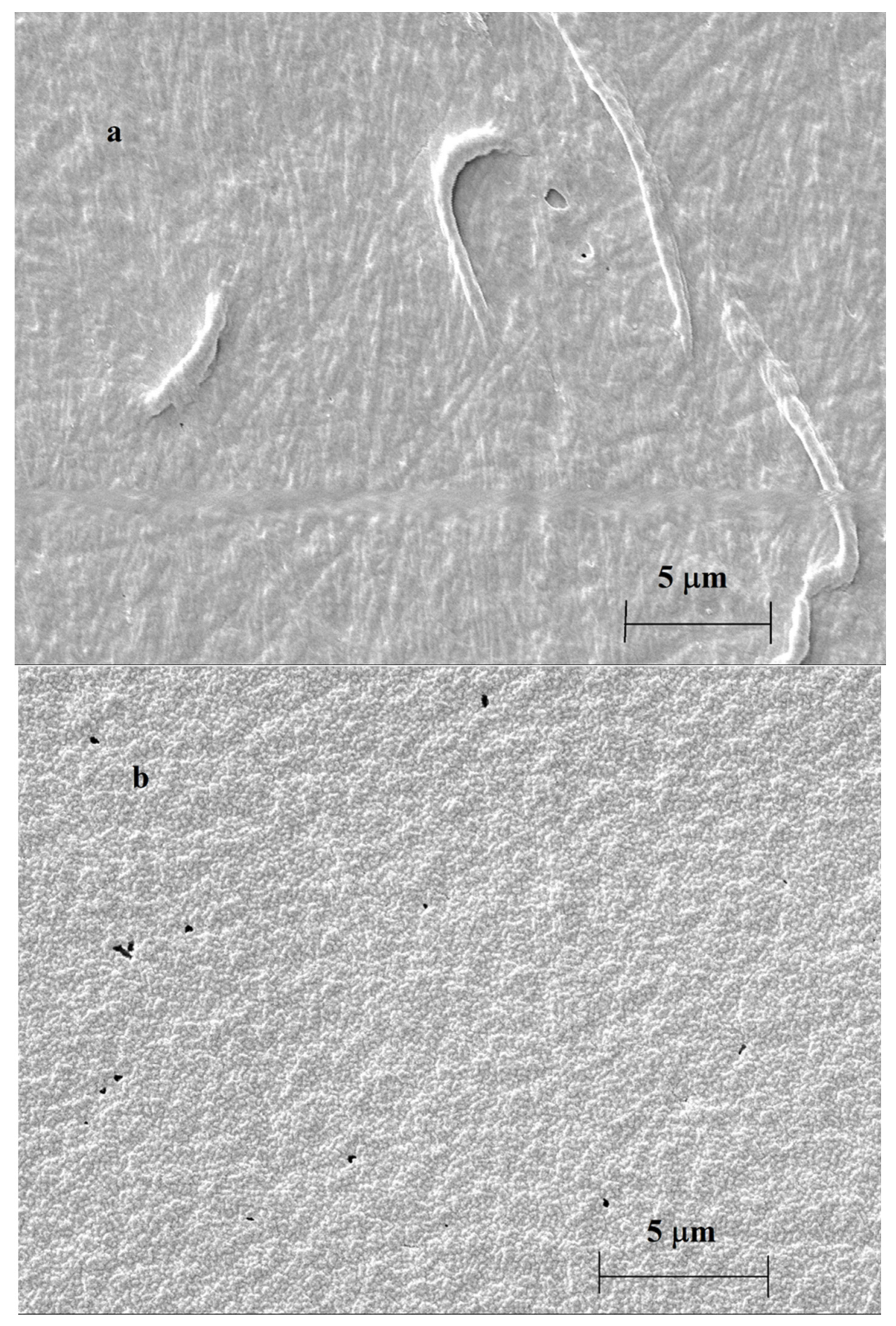 Surfaces 07 00011 g007a