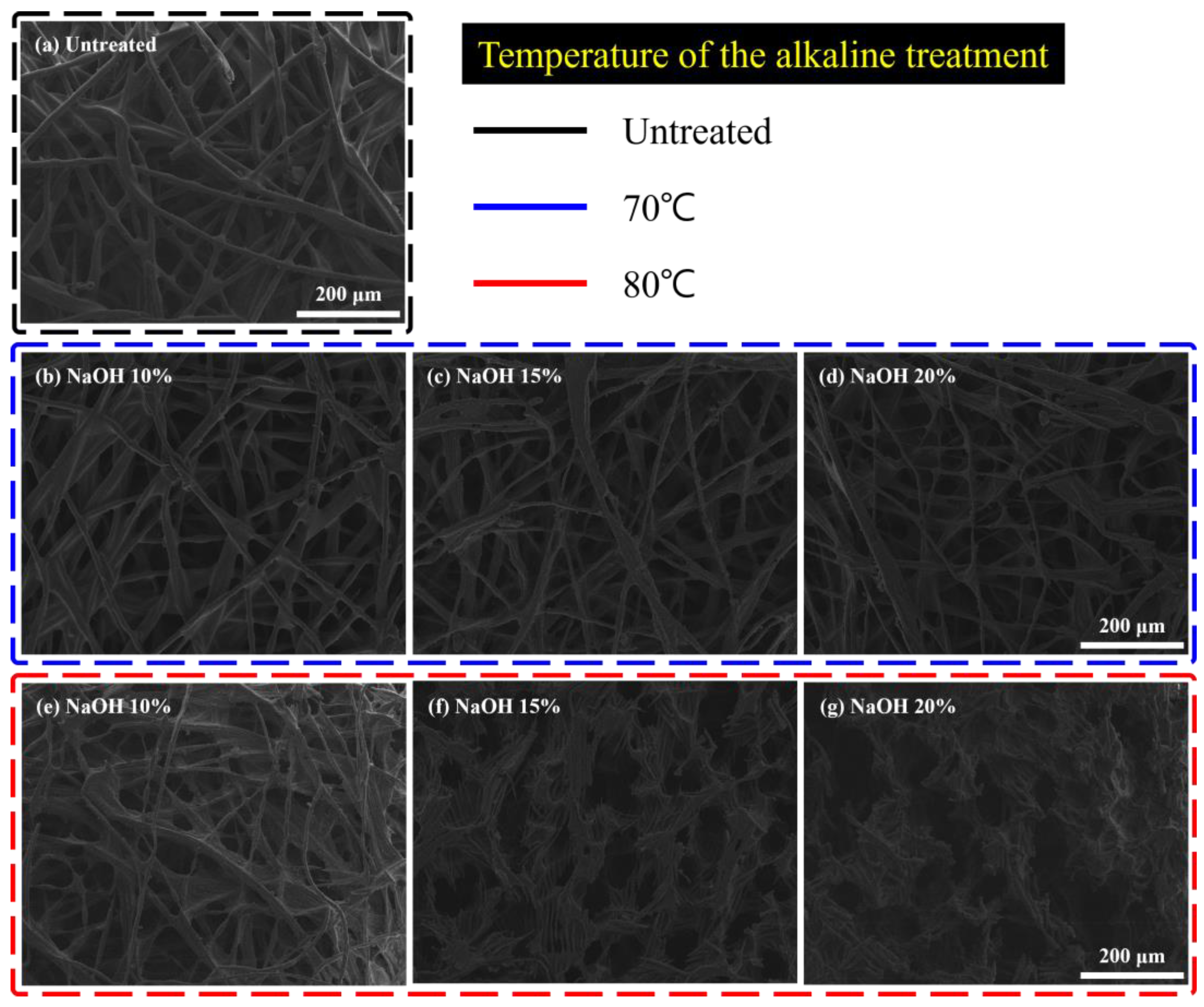 Surfaces 07 00016 g004