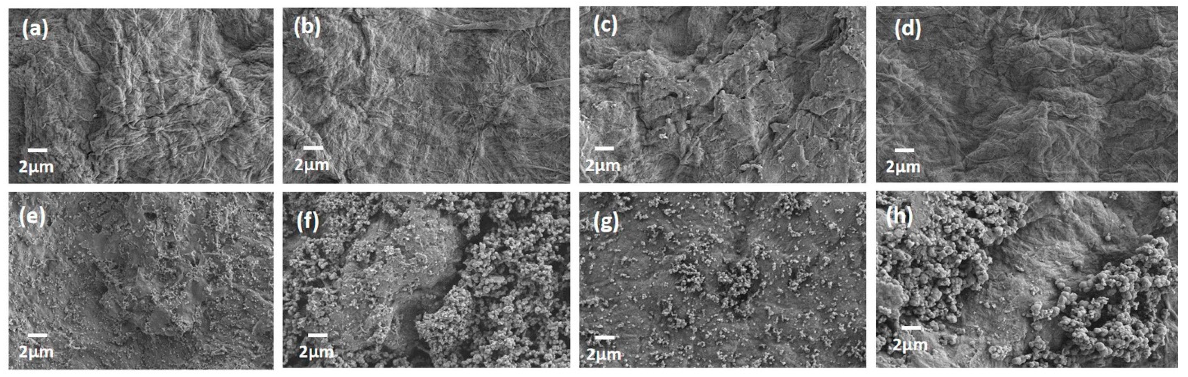 Surfaces 07 00019 g003