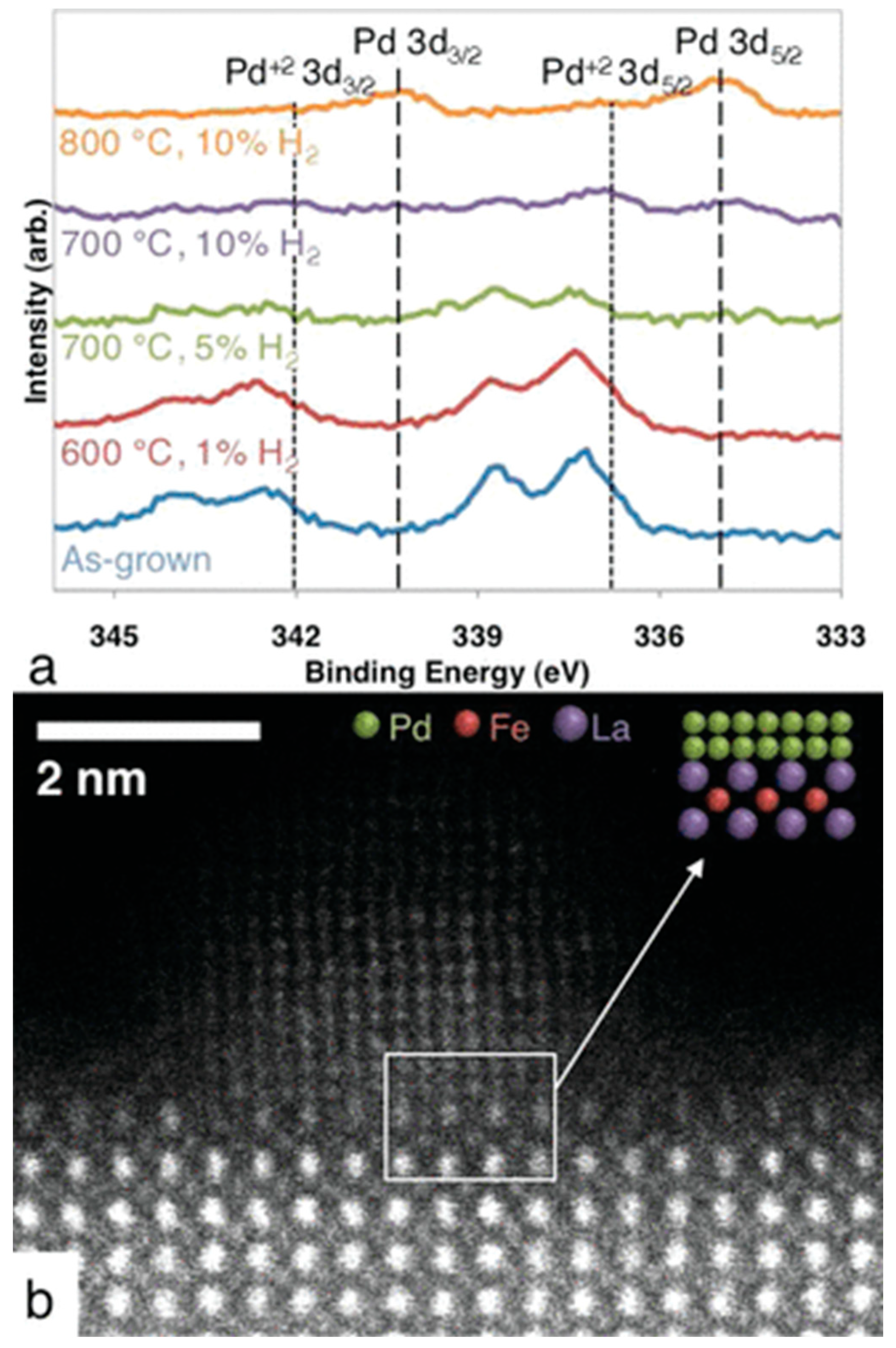 Surfaces 07 00020 g010