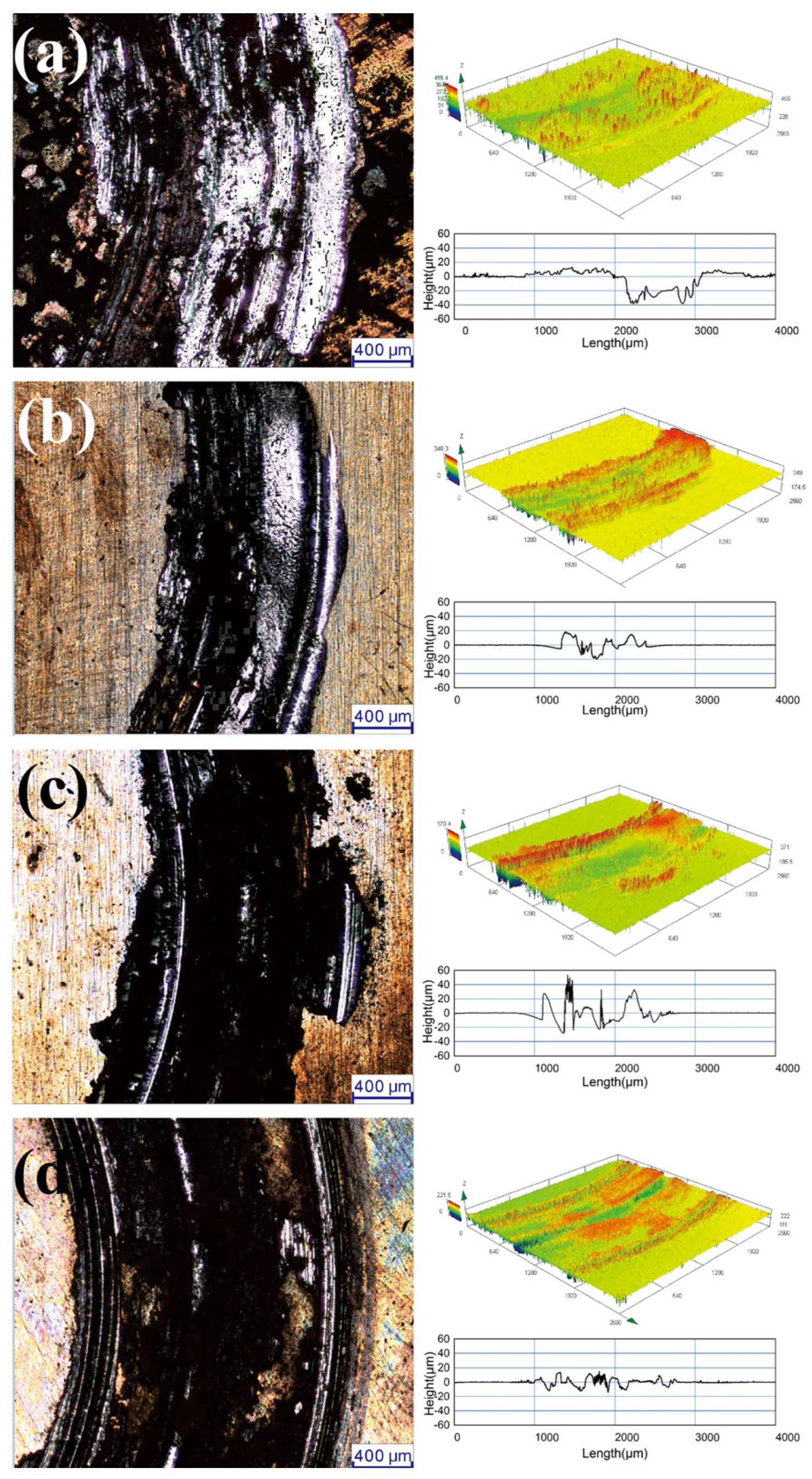 Surfaces 07 00039 g005