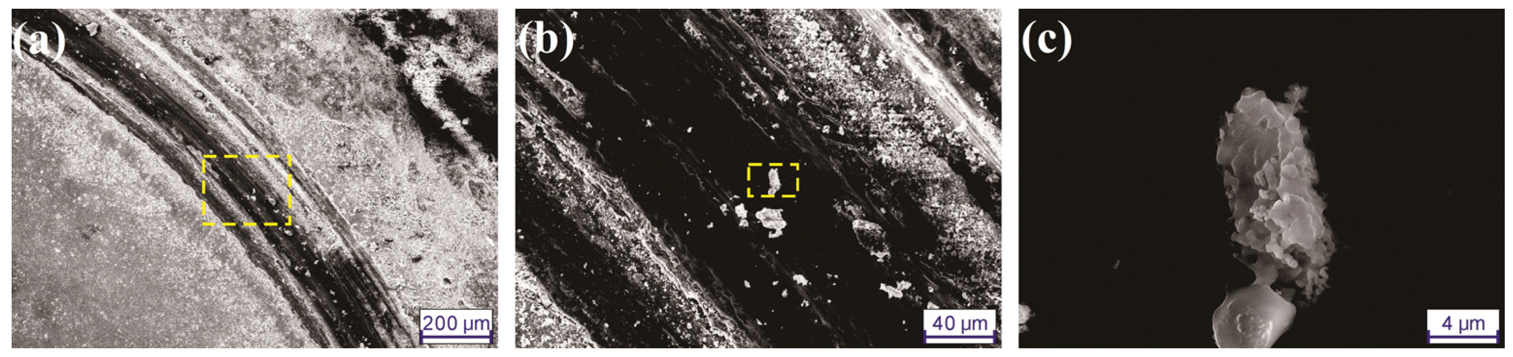 Surfaces 07 00039 g010