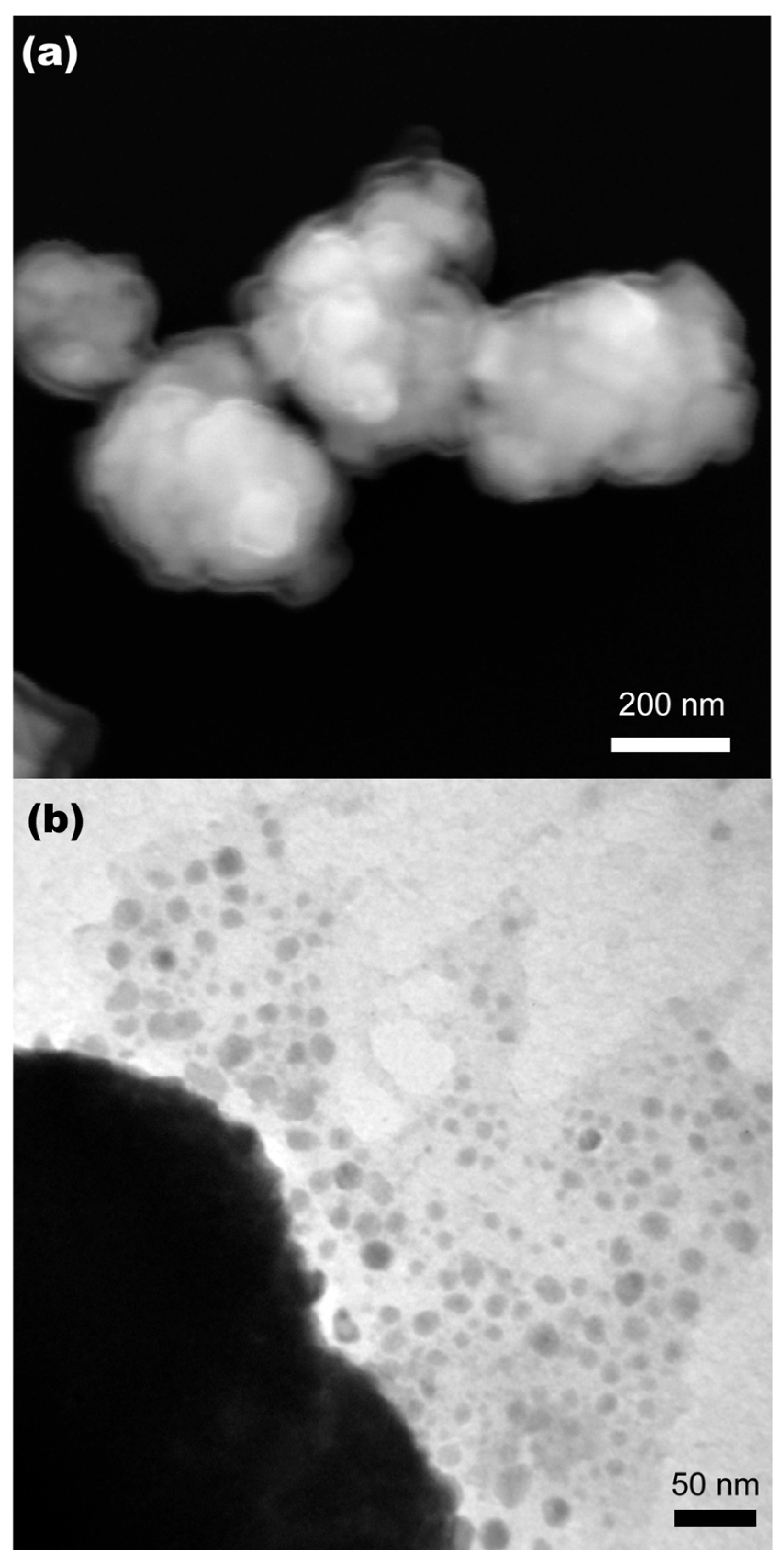 Surfaces 07 00057 g004