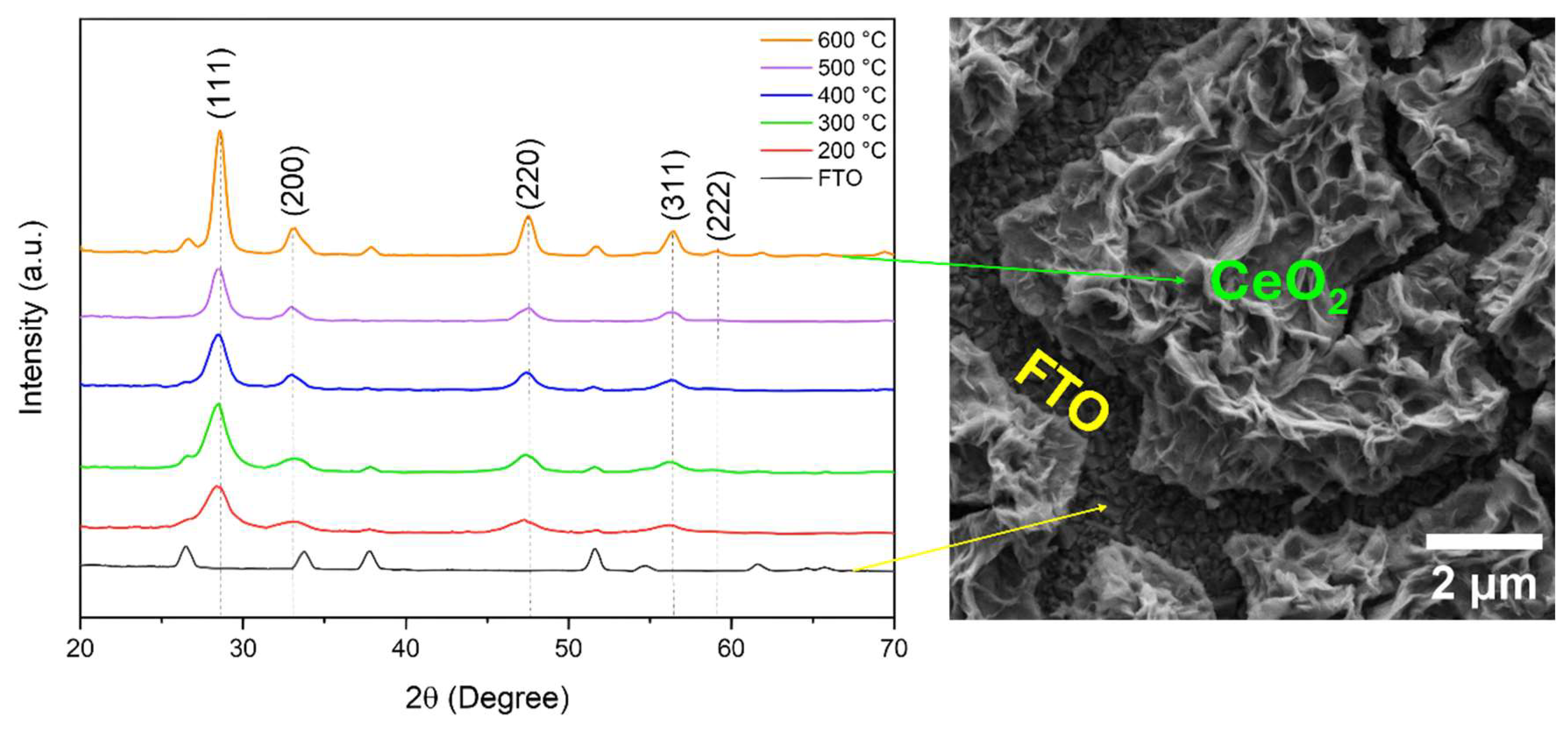 Surfaces 07 00059 g001