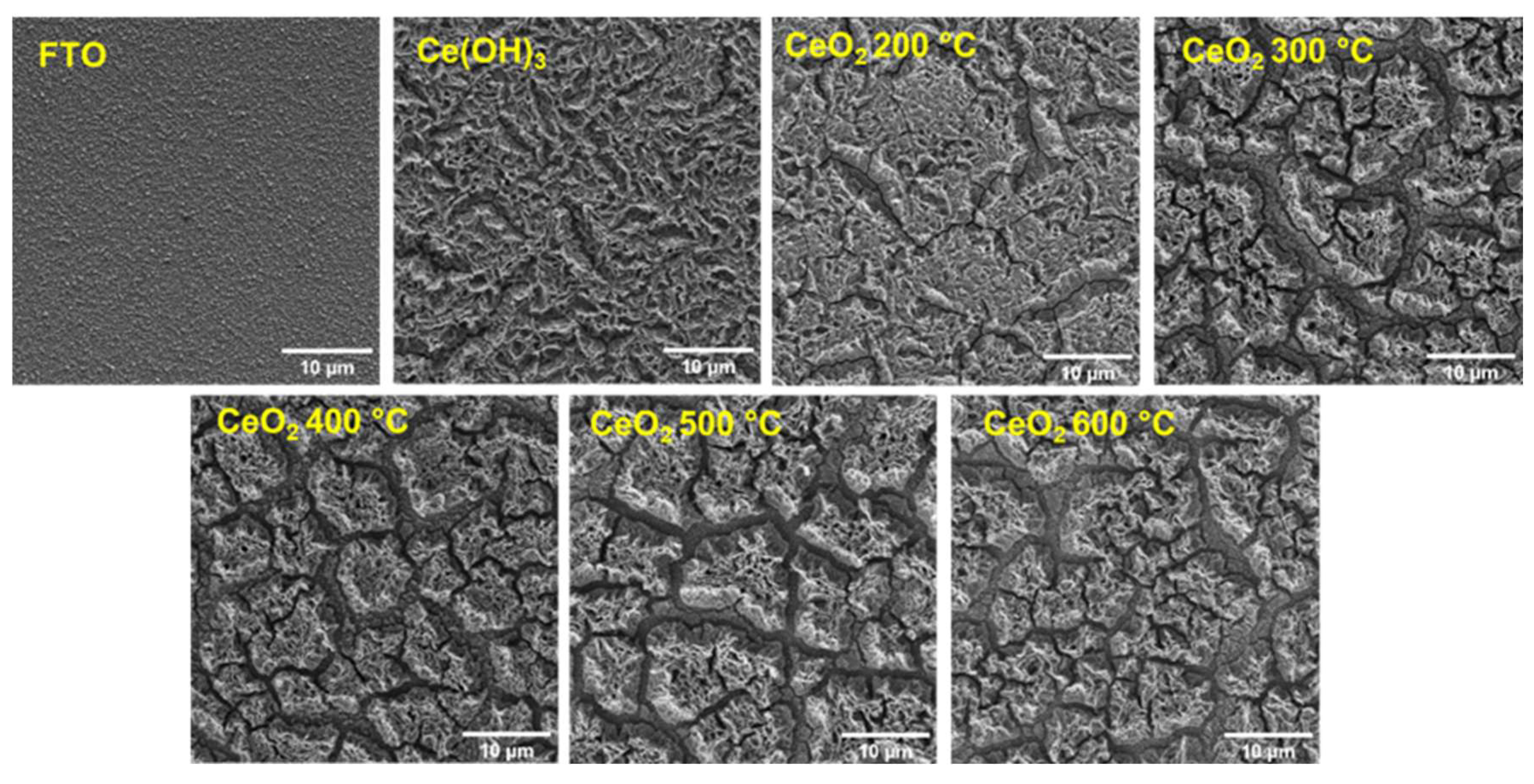 Surfaces 07 00059 g004