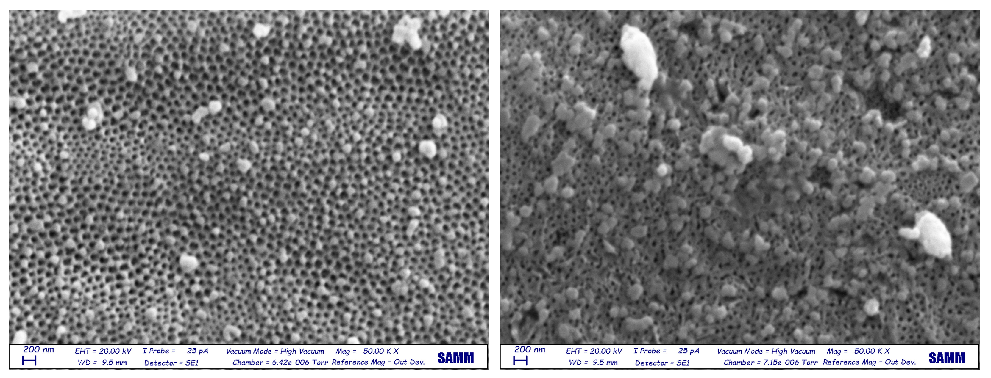 Surfaces 07 00061 g005