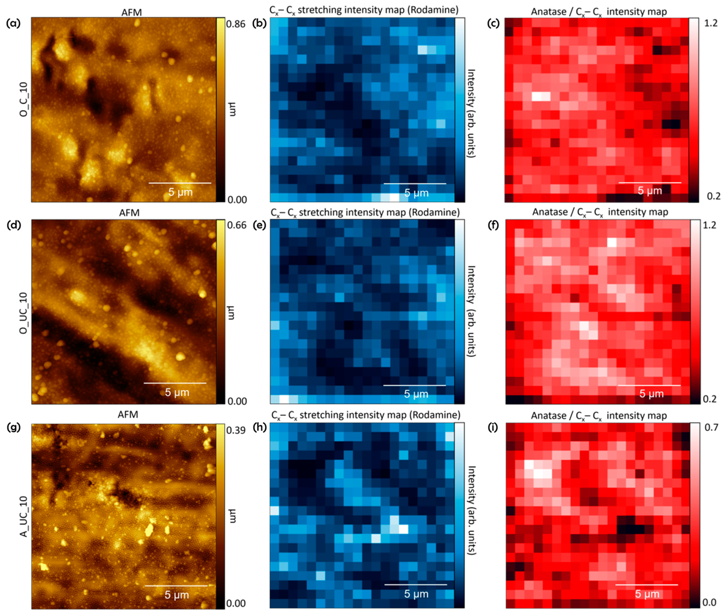Surfaces 07 00061 g010