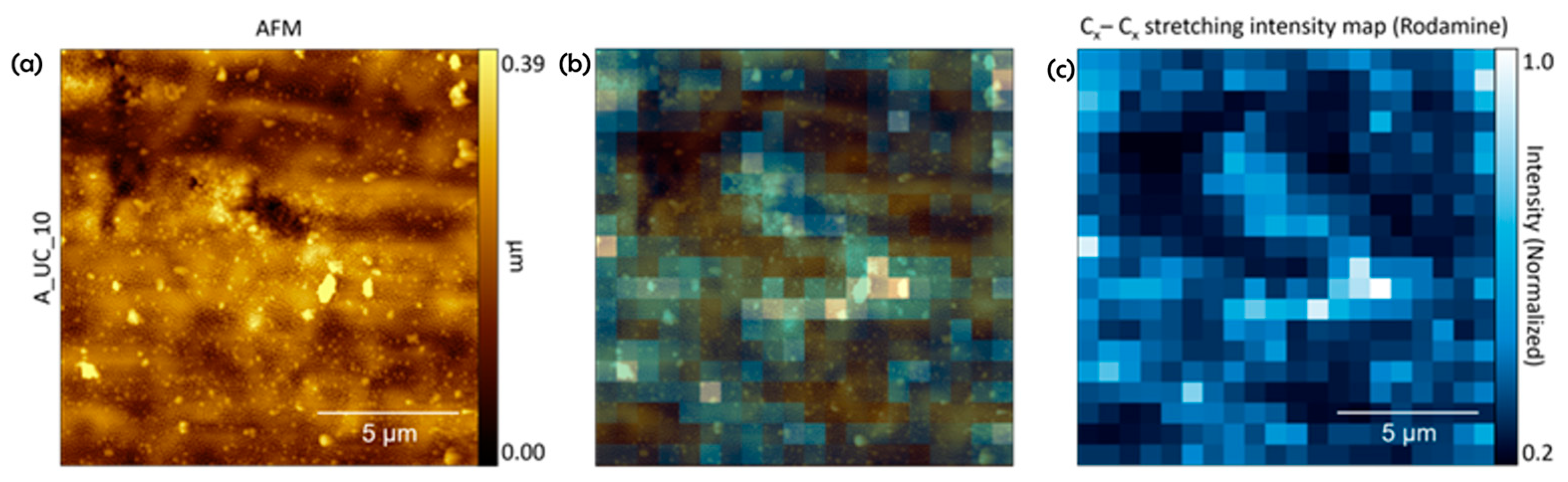 Surfaces 07 00061 g011