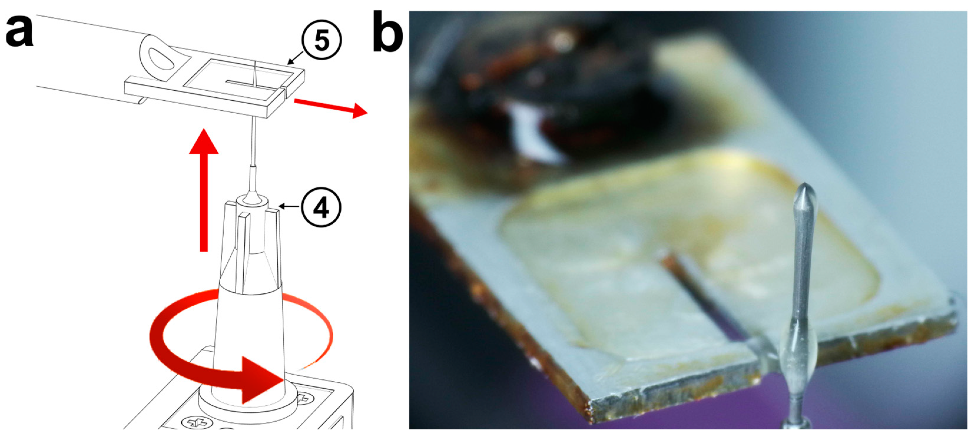 Surfaces 07 00065 g002