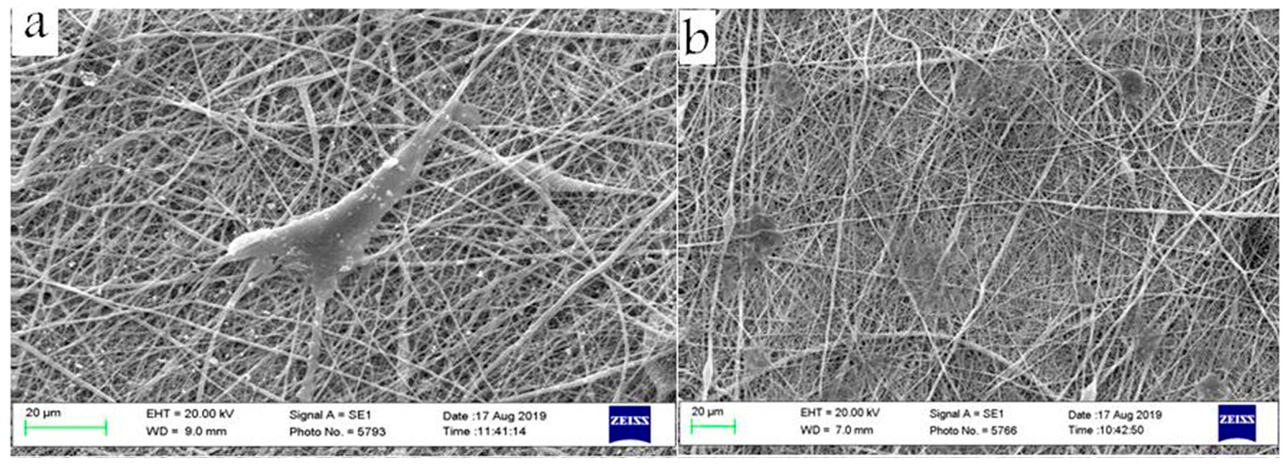 Surfaces 08 00007 g003a