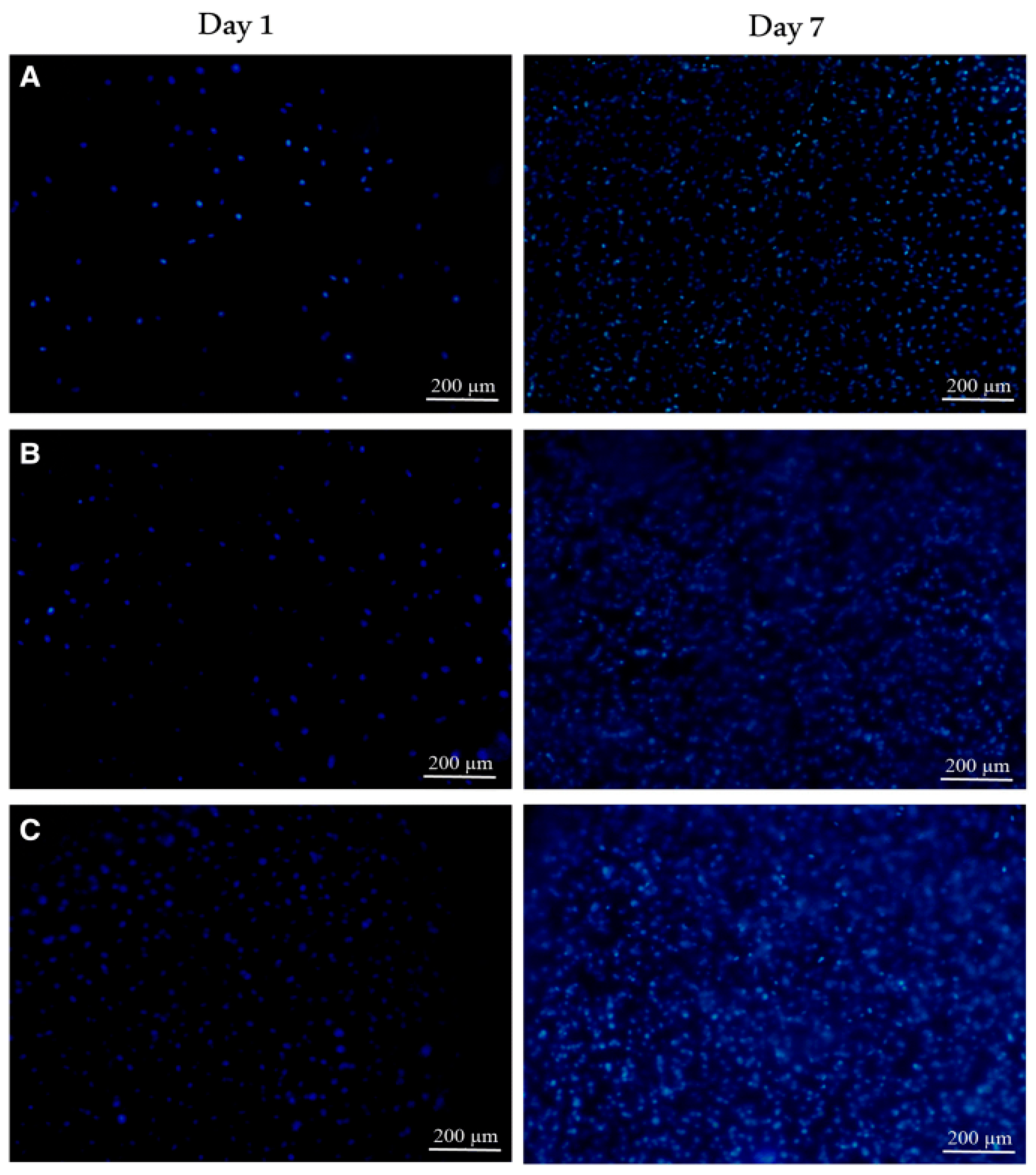 Surfaces 08 00007 g004