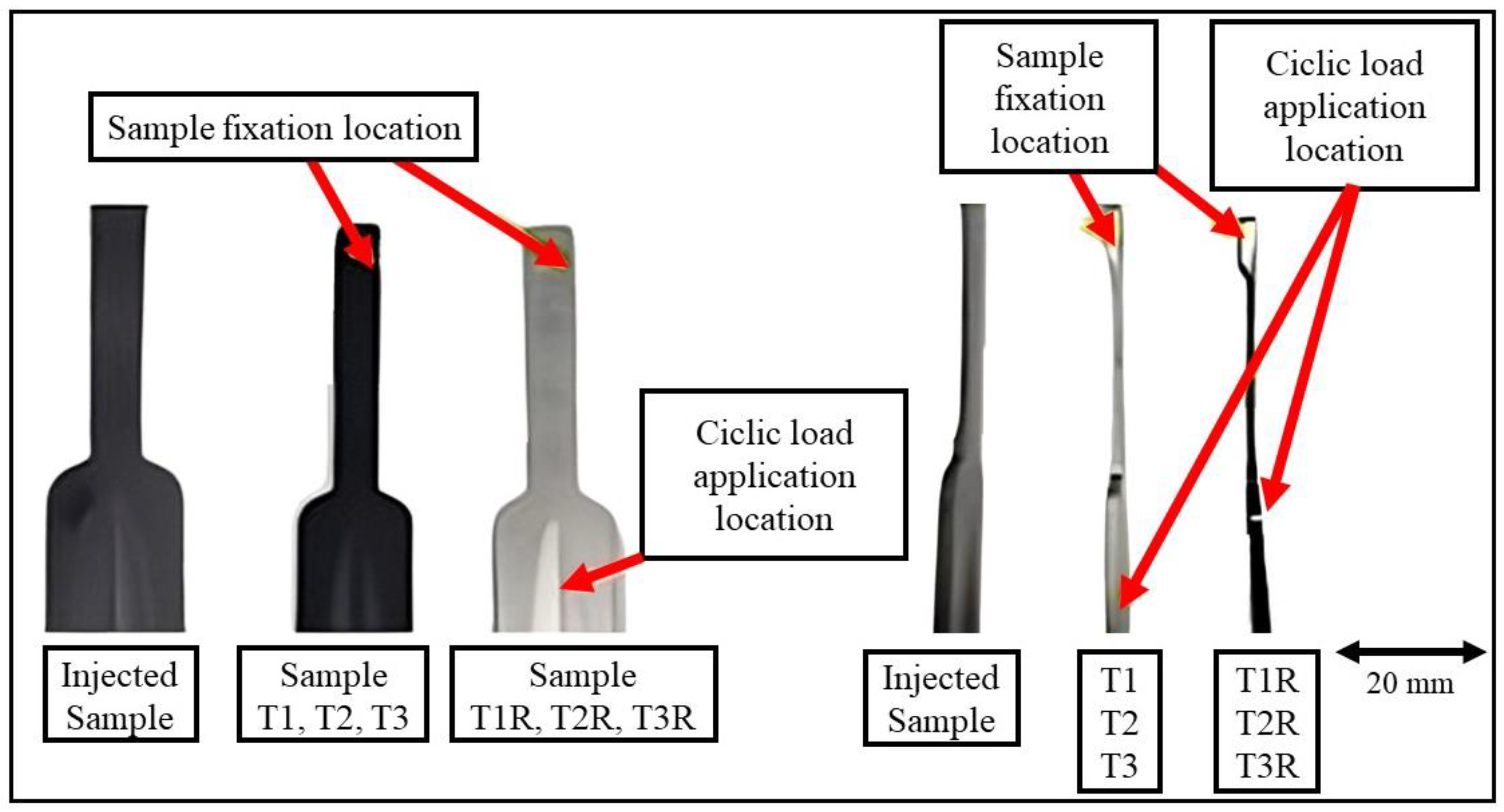 Surfaces 08 00019 g001