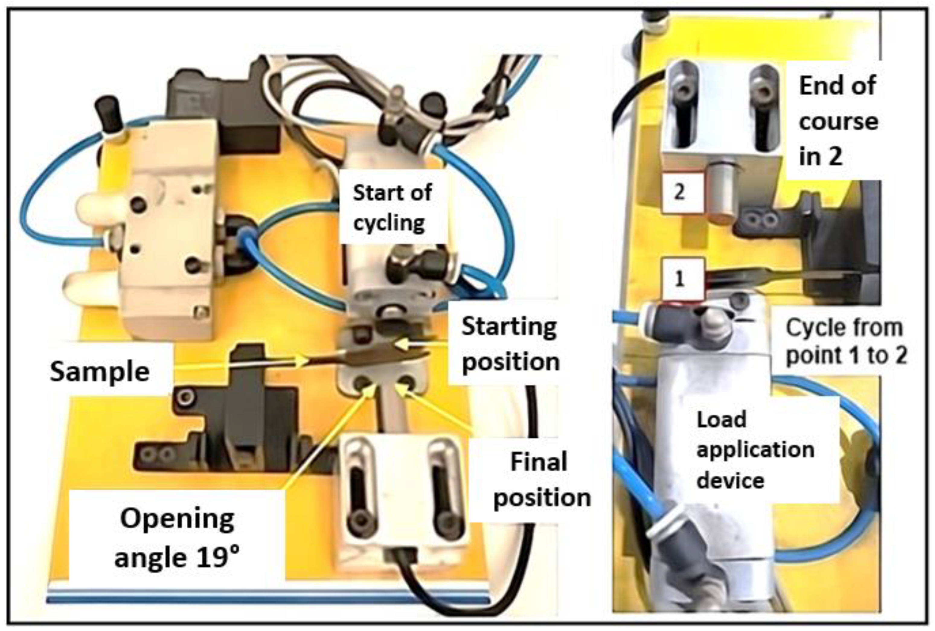 Surfaces 08 00019 g002