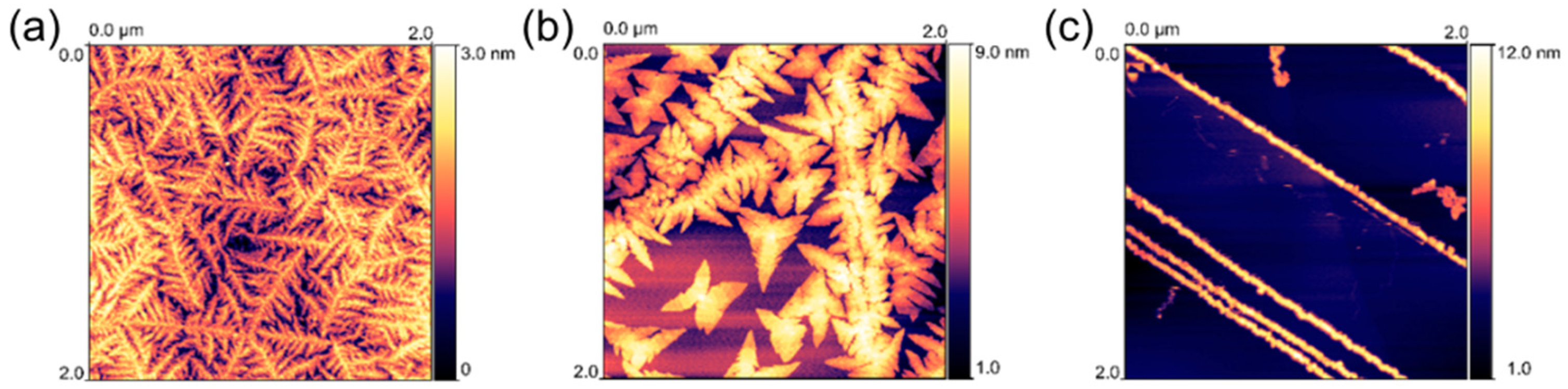 Surfaces 08 00022 g008