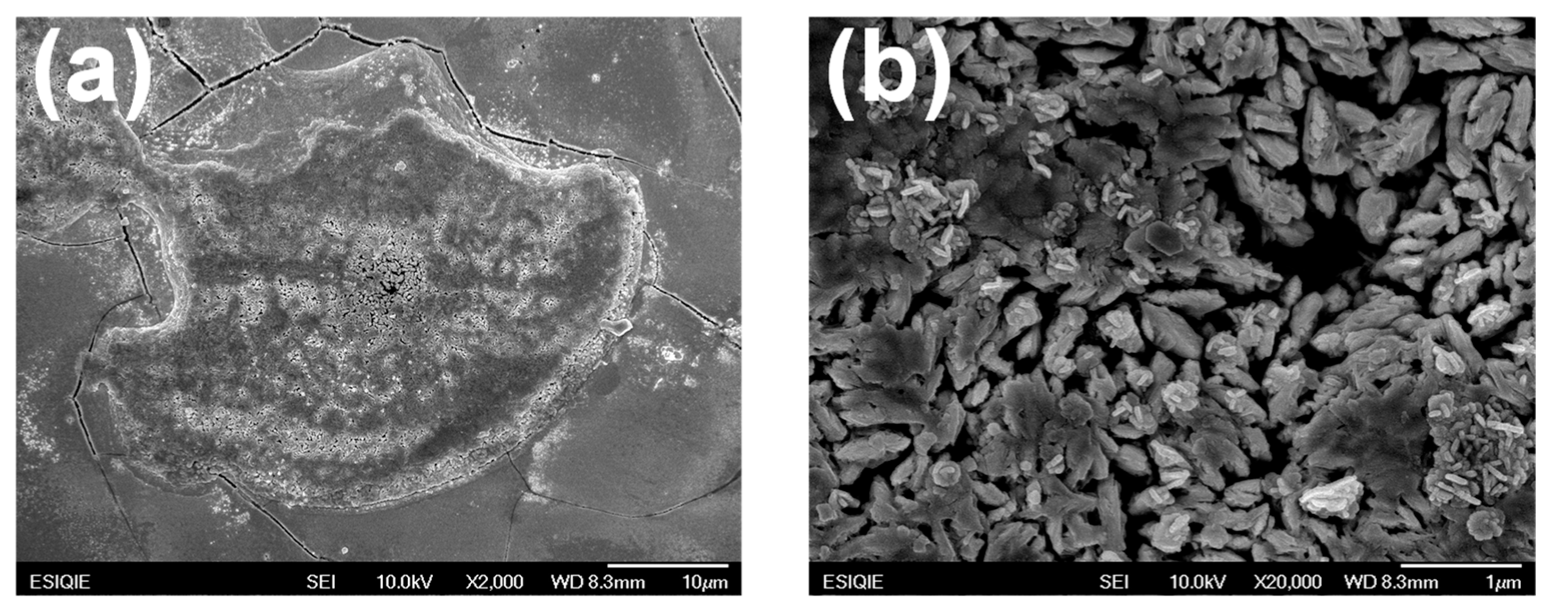 Surfaces 08 00025 g004