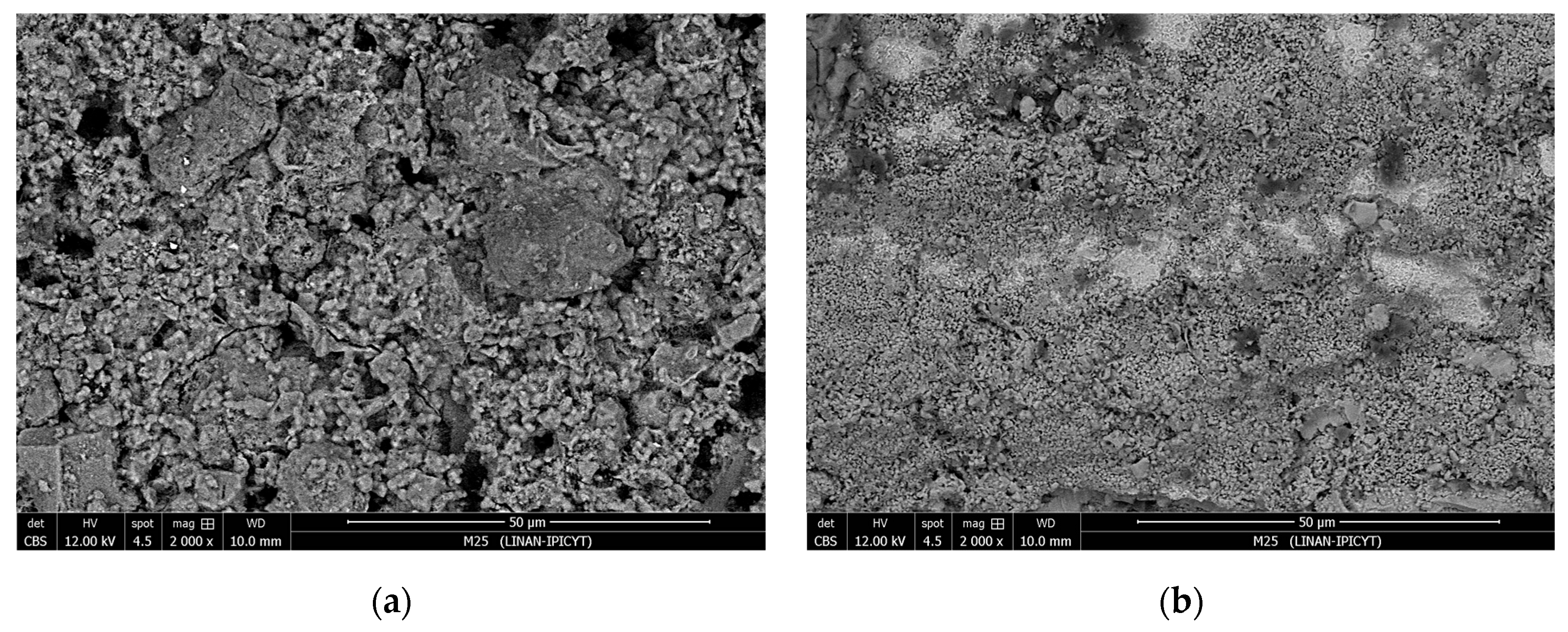 Surfaces 08 00026 g008