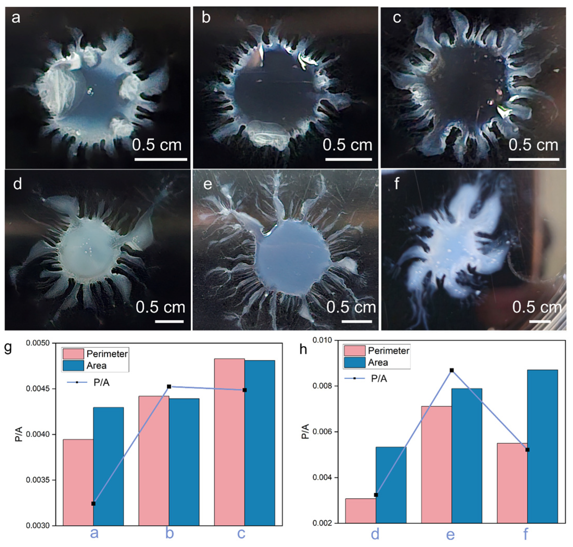Surfaces 08 00028 g003