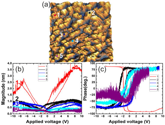 Microstructural Evolution and Domain Engineering in Porous PZT Thin Films