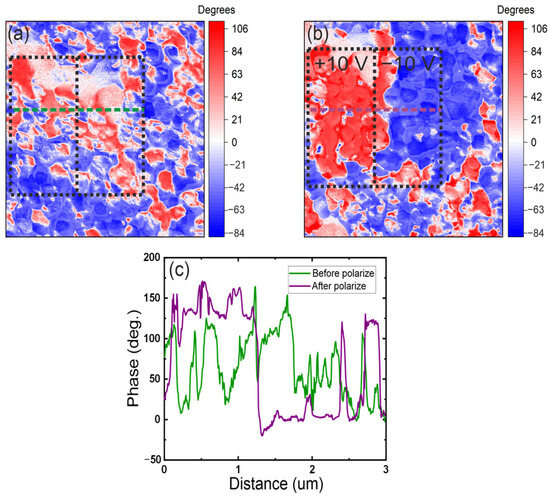 Microstructural Evolution and Domain Engineering in Porous PZT Thin Films