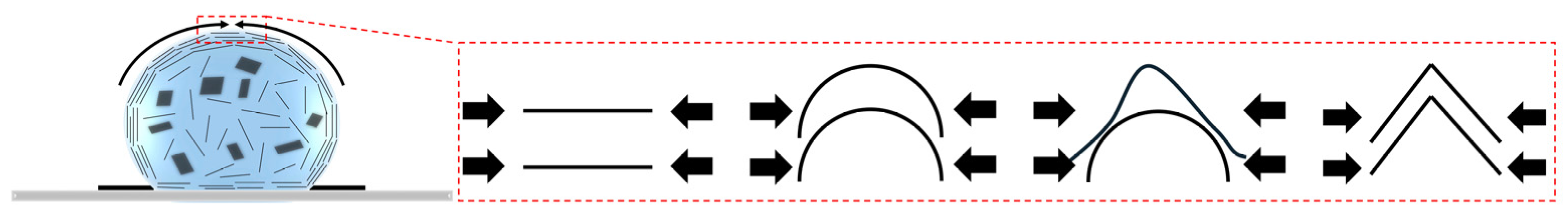 Surfaces 08 00039 g006