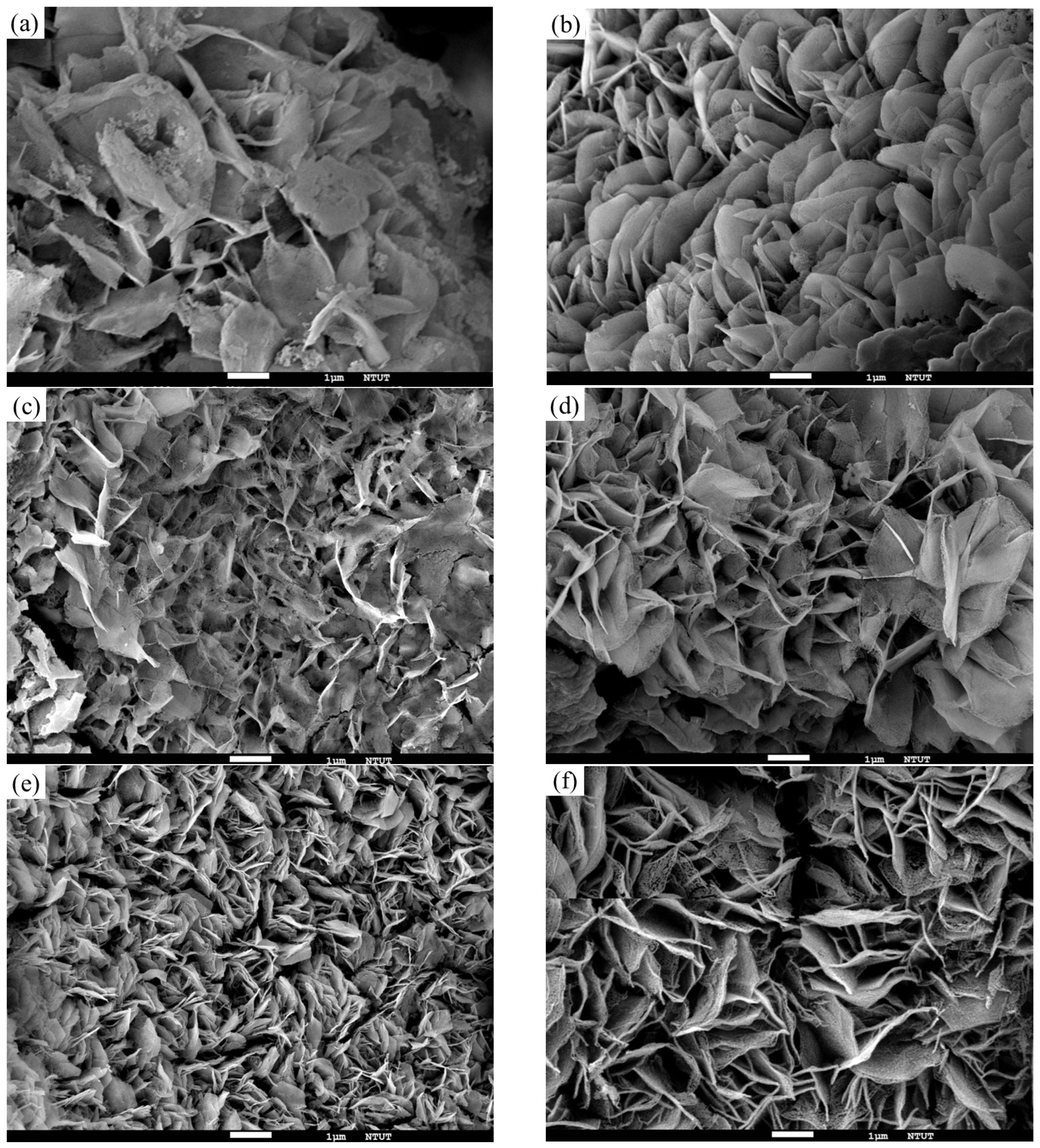 Surfaces 08 00043 g006