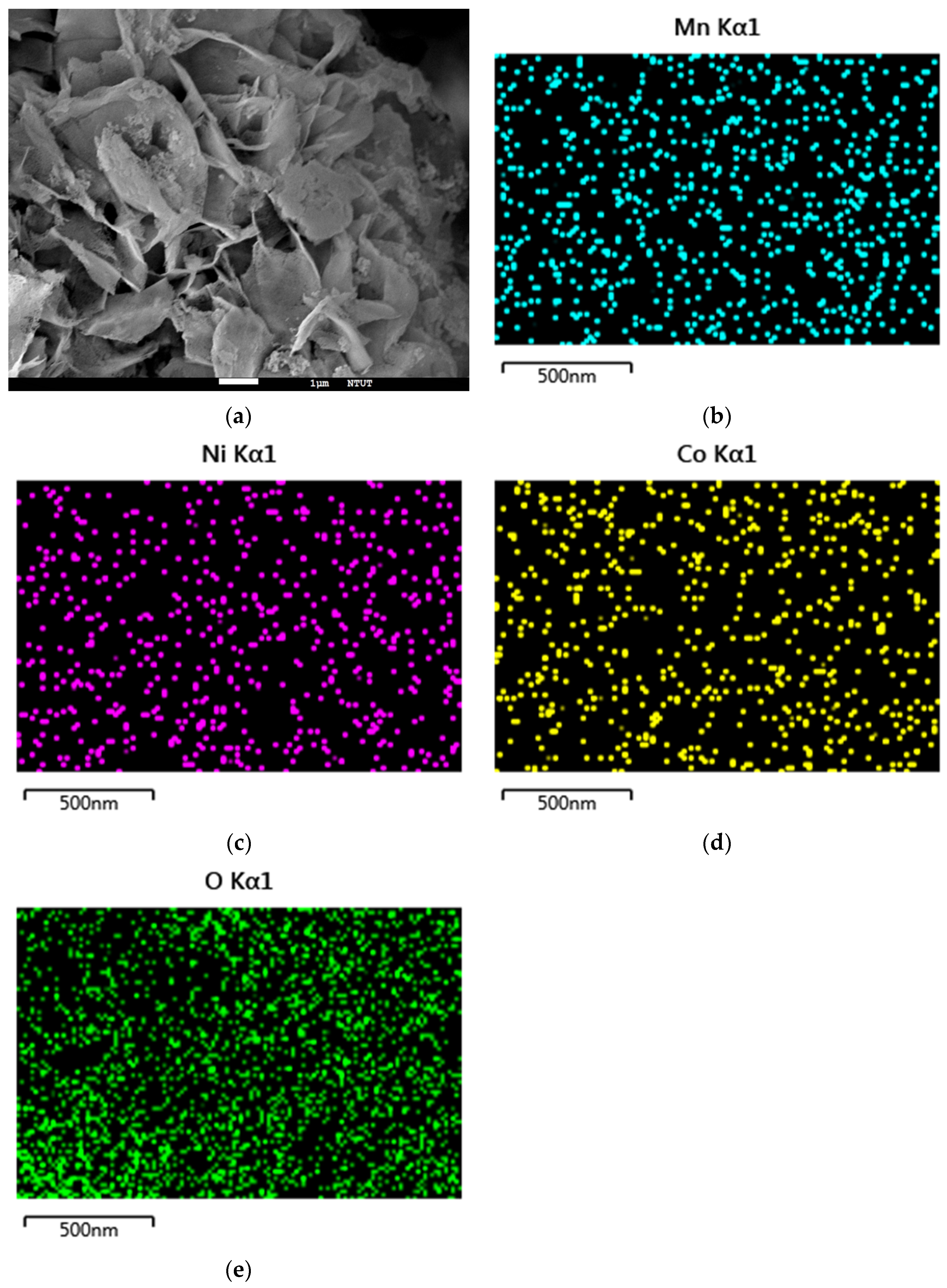 Surfaces 08 00043 g007