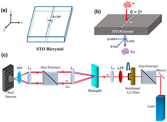 Second Harmonic Generation Imaging of Strain-Induced Domain