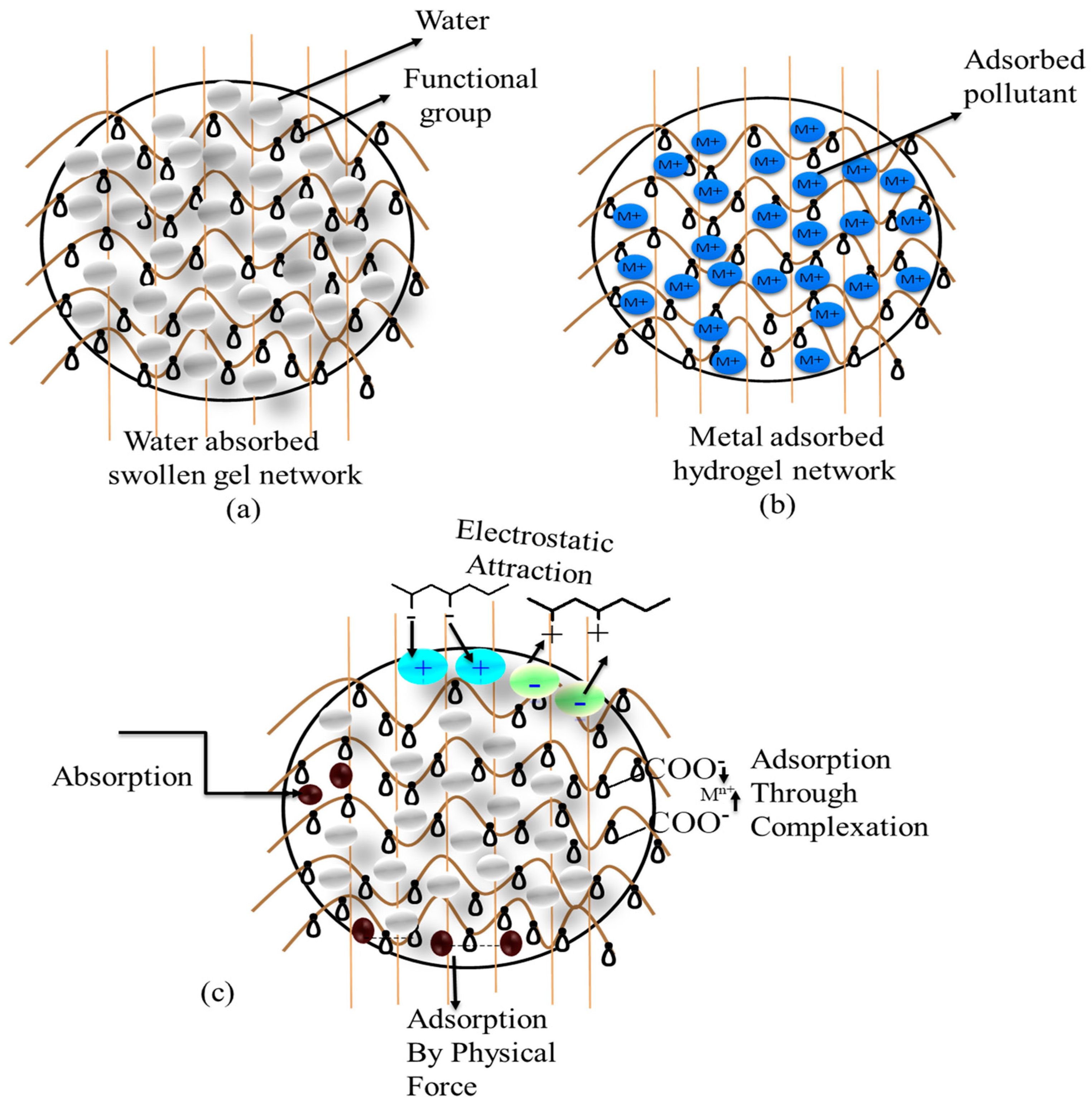 Surfaces 08 00061 g001