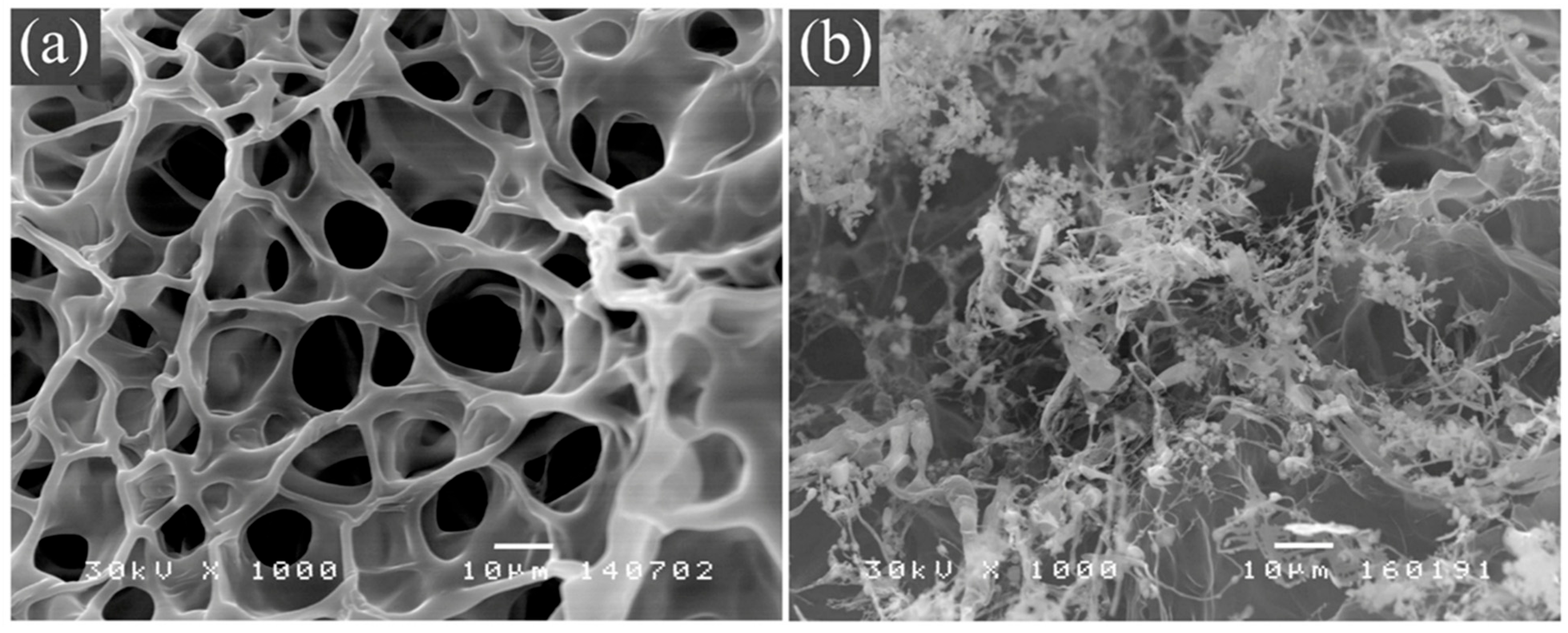 Surfaces 08 00061 g003