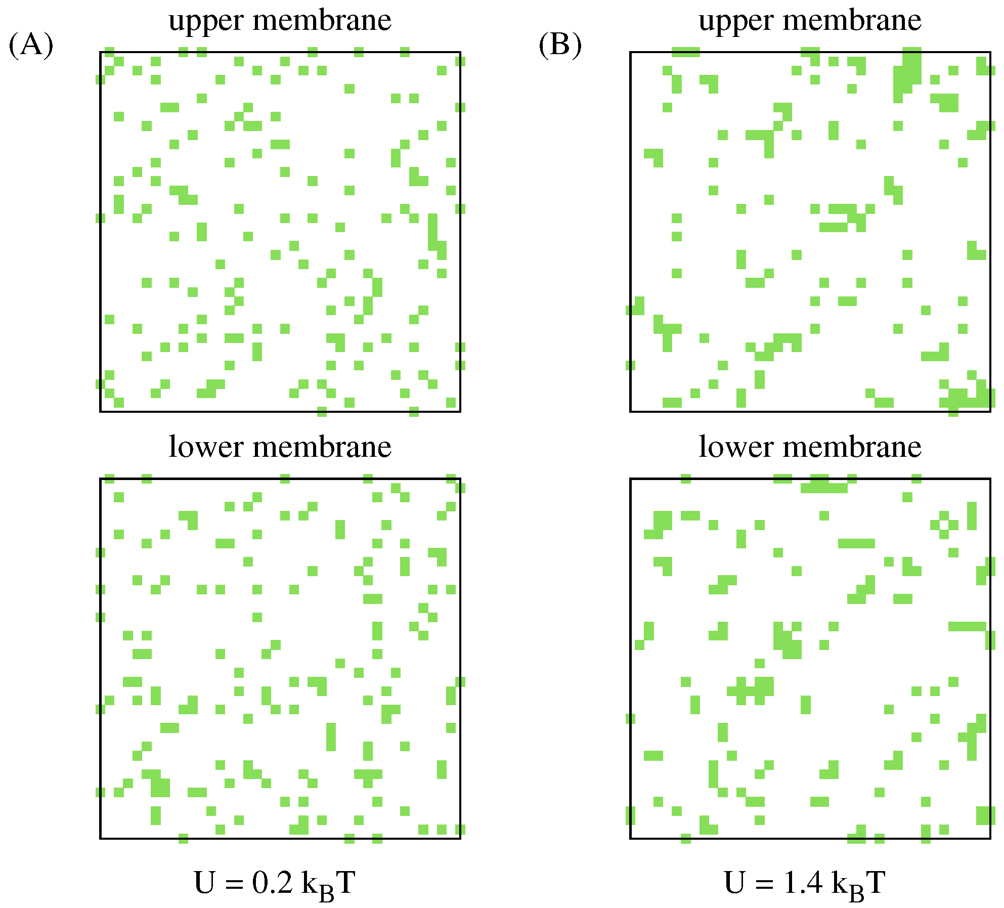 Surfaces 08 00062 g004