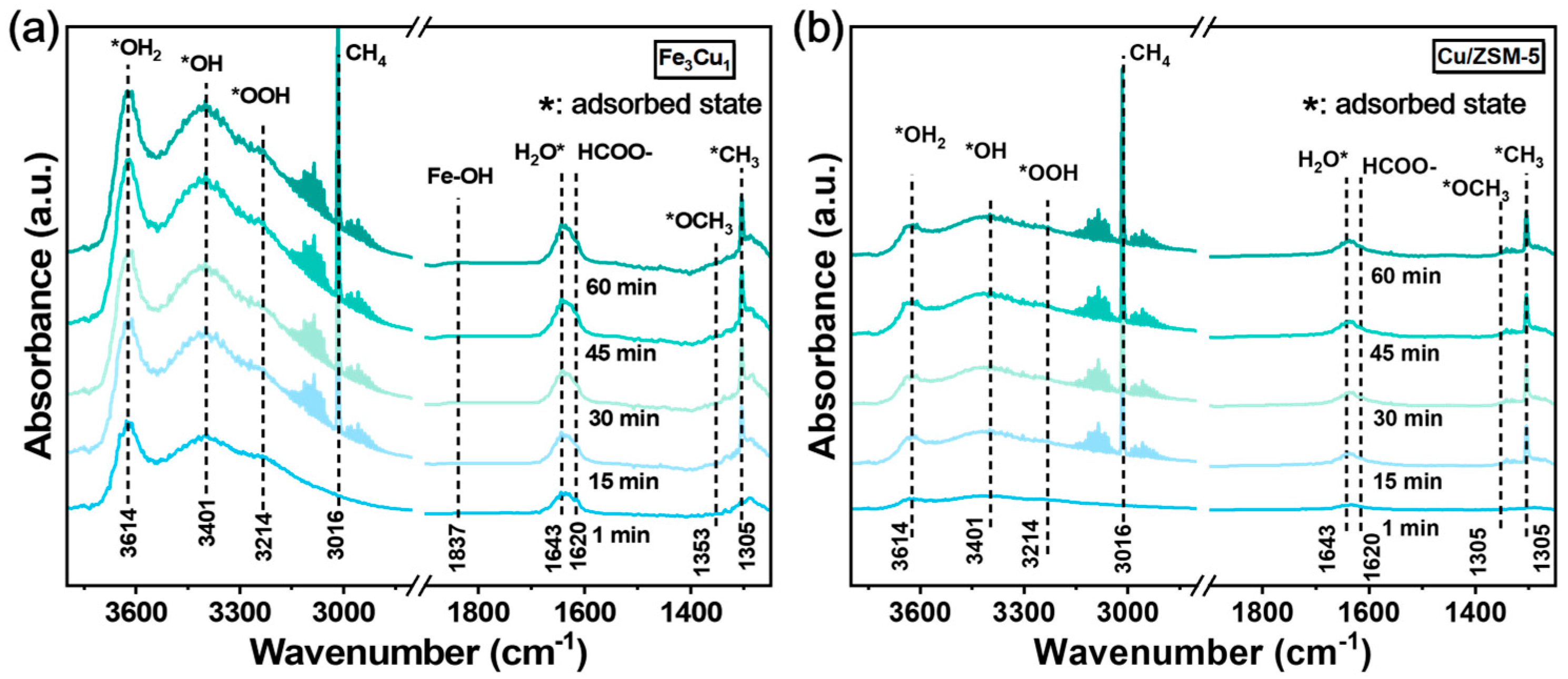 Surfaces 08 00069 g006