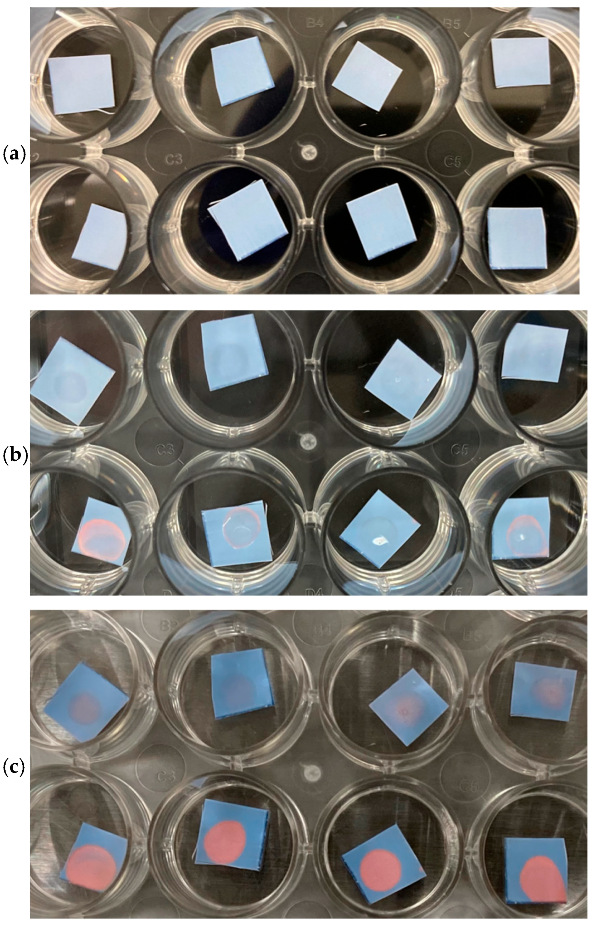 Surfaces 08 00079 g007