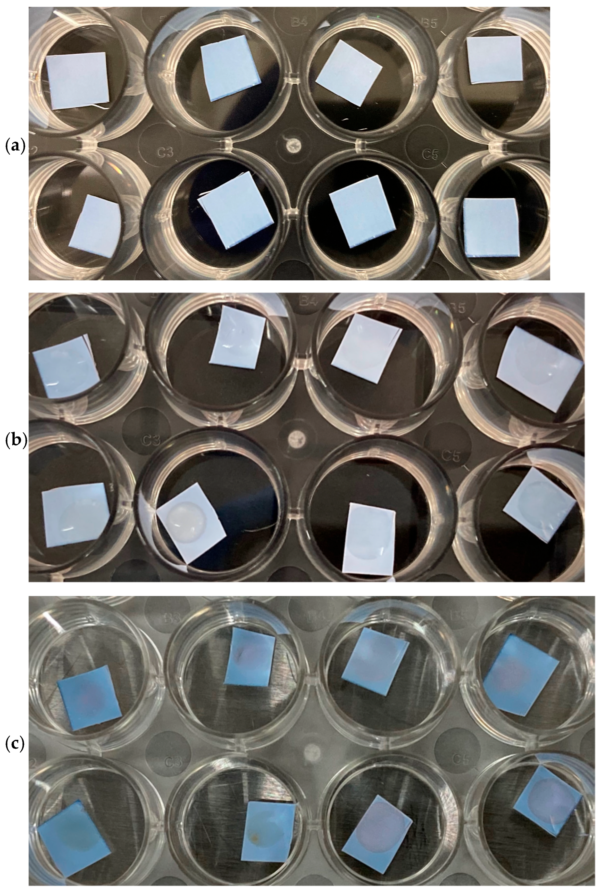 Surfaces 08 00079 g008