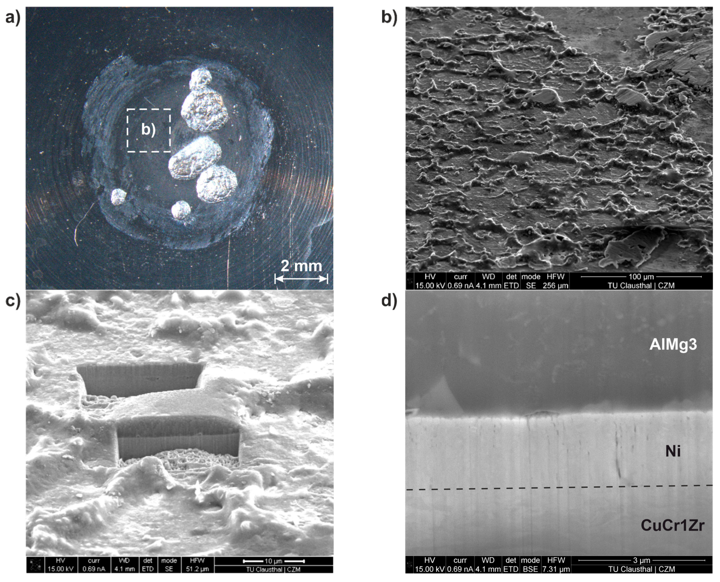 Surfaces 08 00081 g008