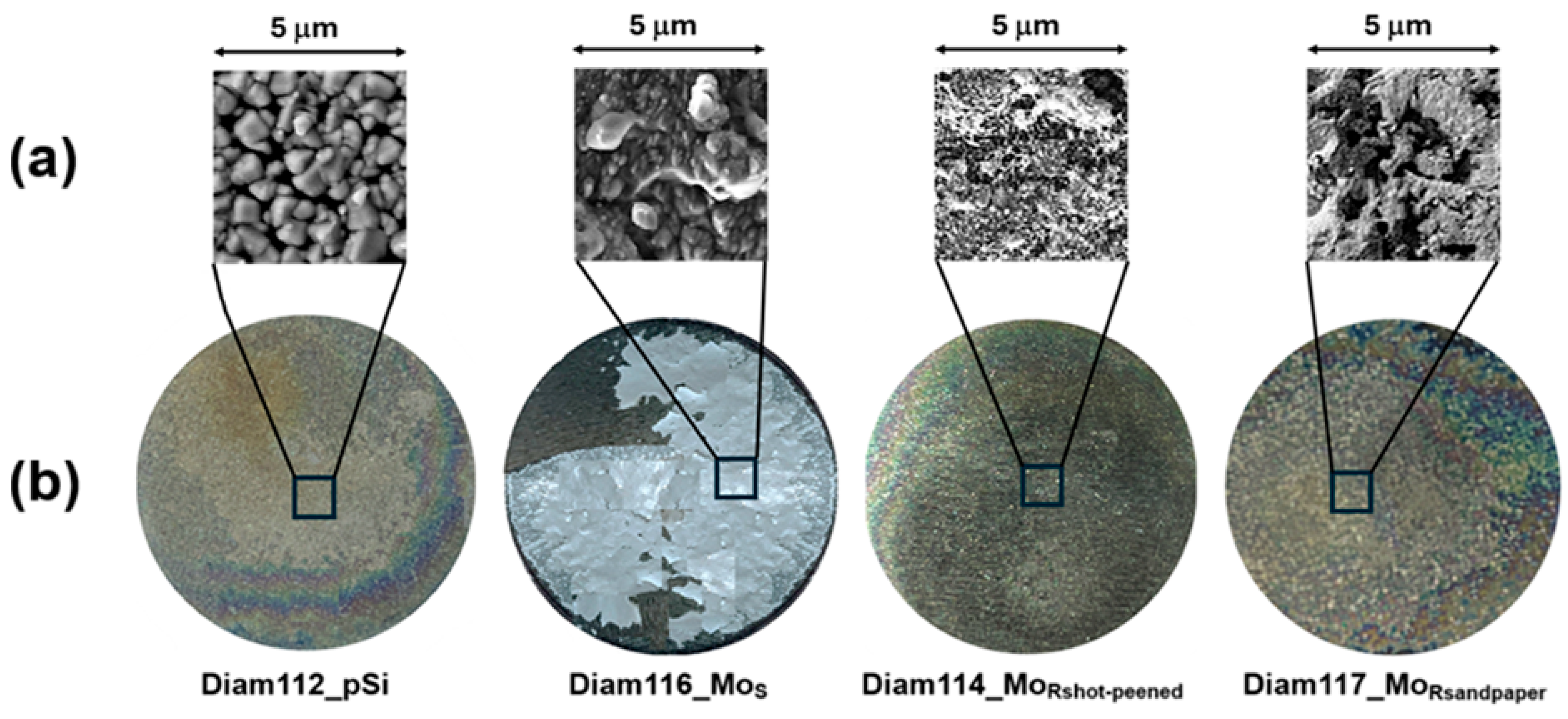 Surfaces 08 00085 g010