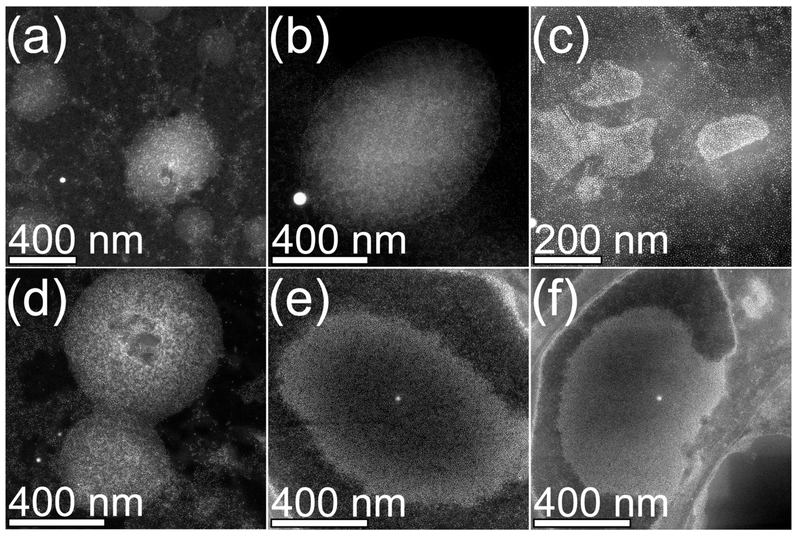 Surfaces 09 00006 g002