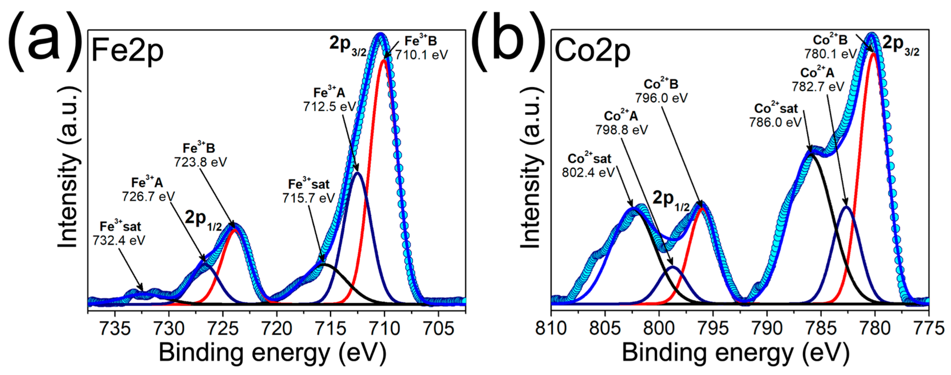 Surfaces 09 00006 g004