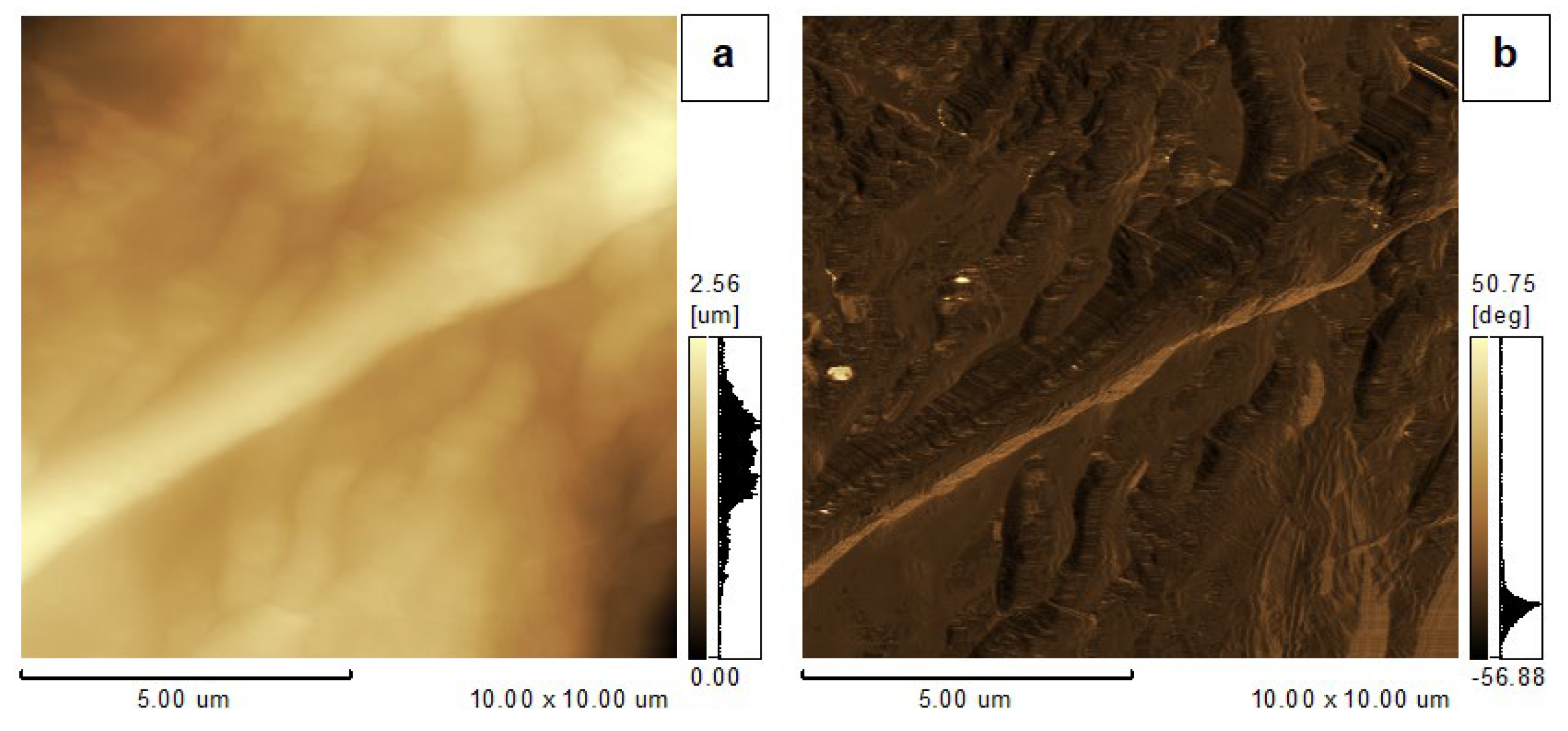 Surfaces 09 00024 g004