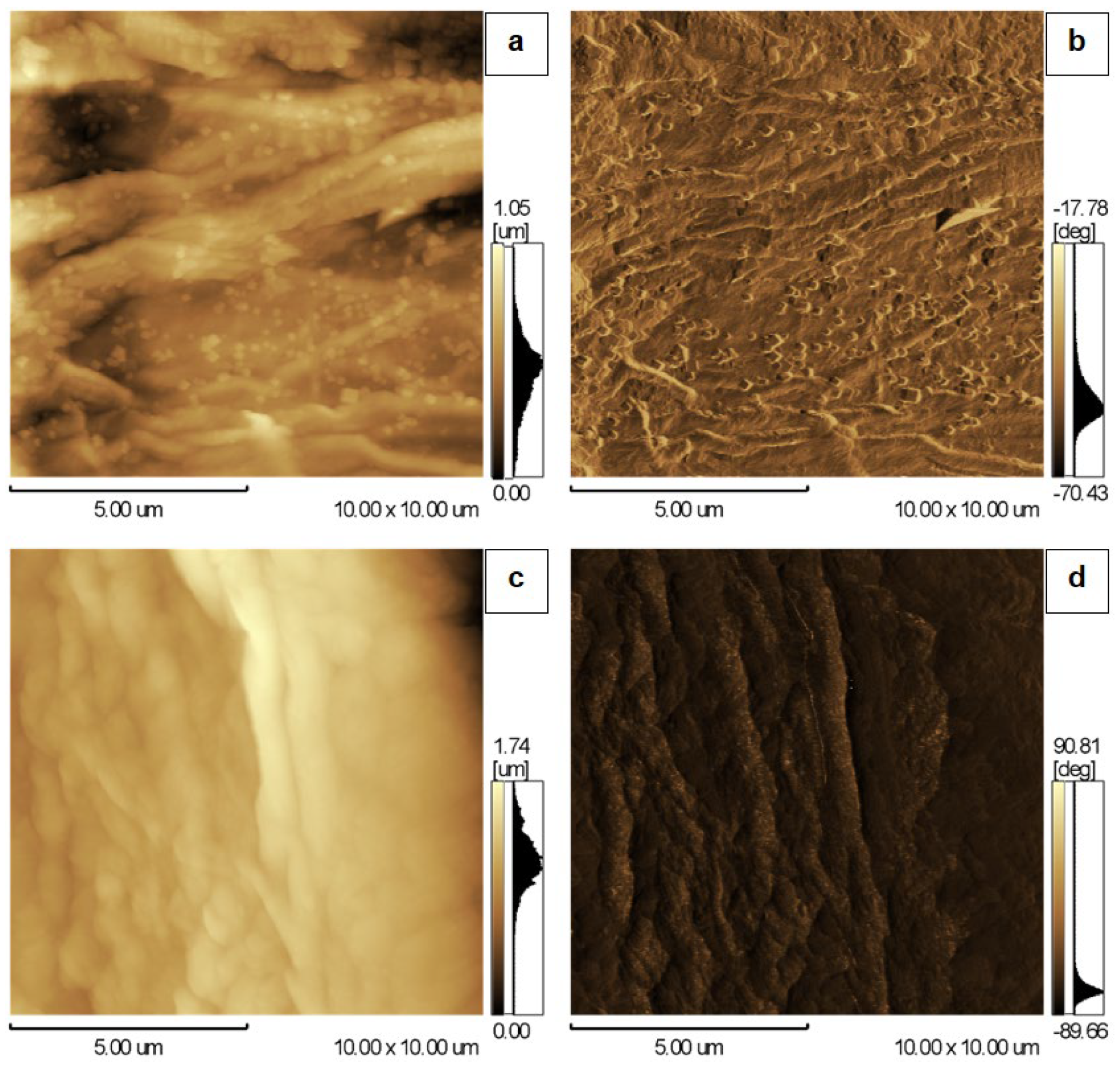 Surfaces 09 00024 g006