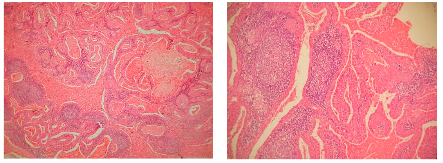 Surgeries 01 00006 g005