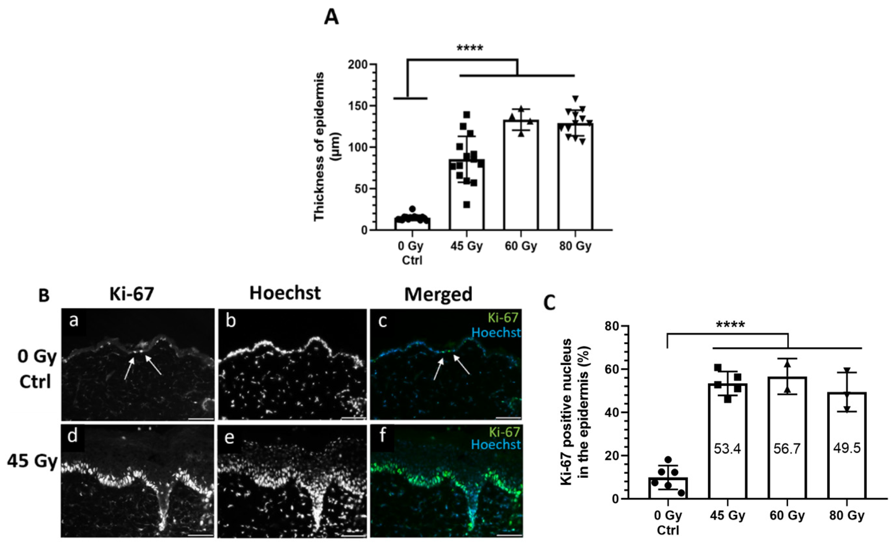 Surgeries 02 00004 g004