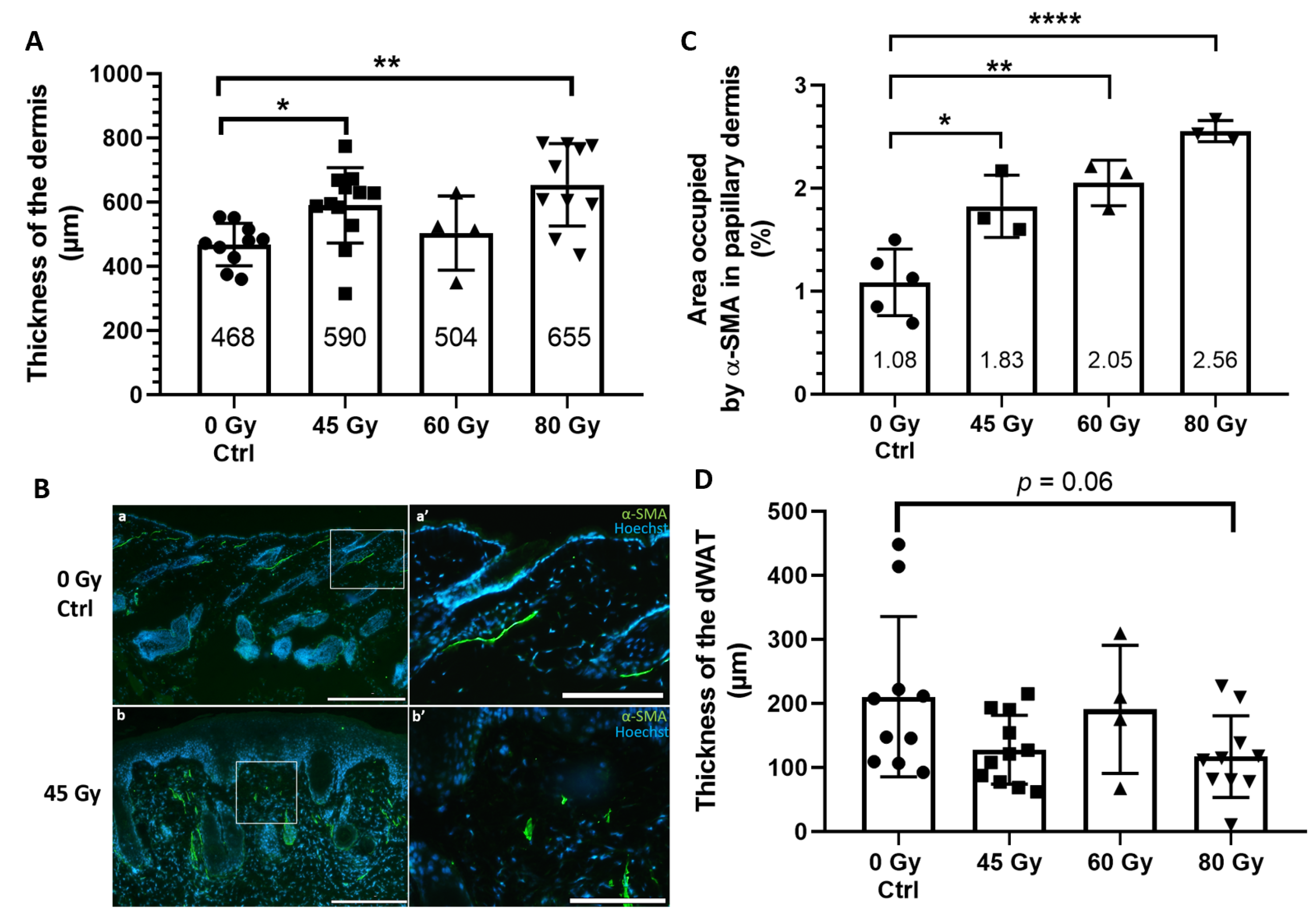 Surgeries 02 00004 g005
