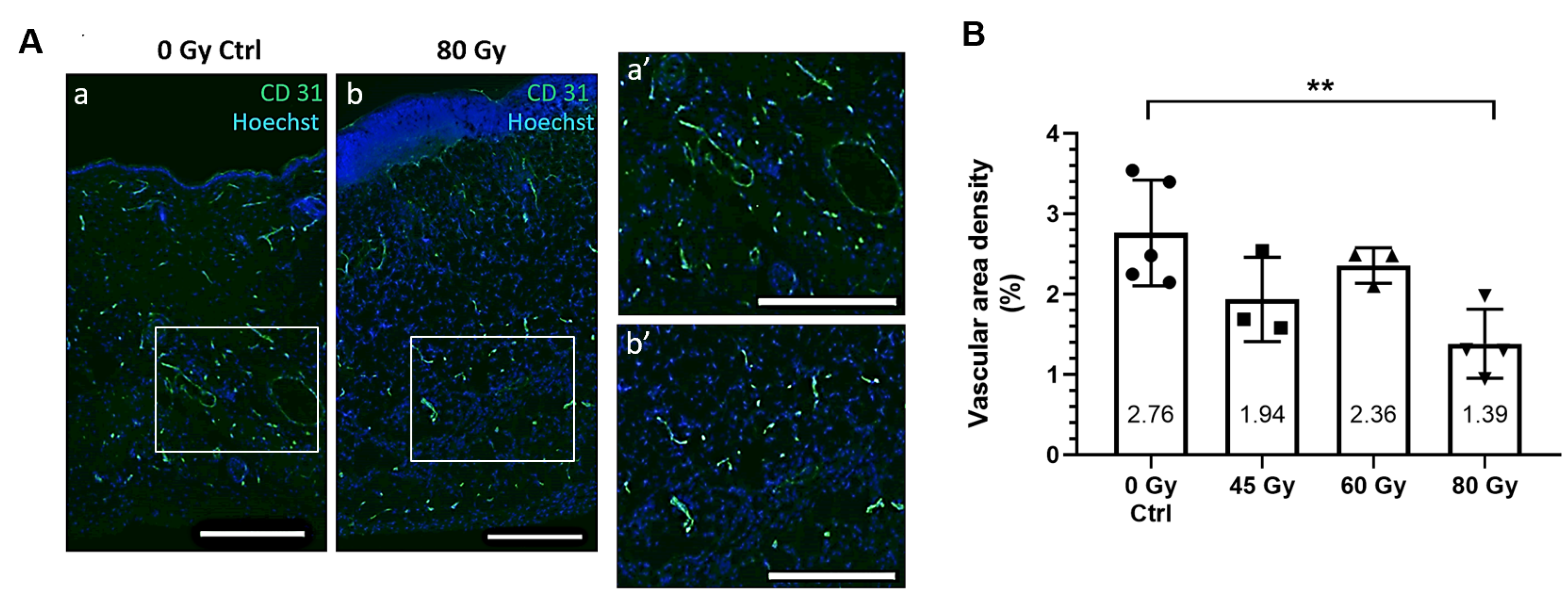 Surgeries 02 00004 g006
