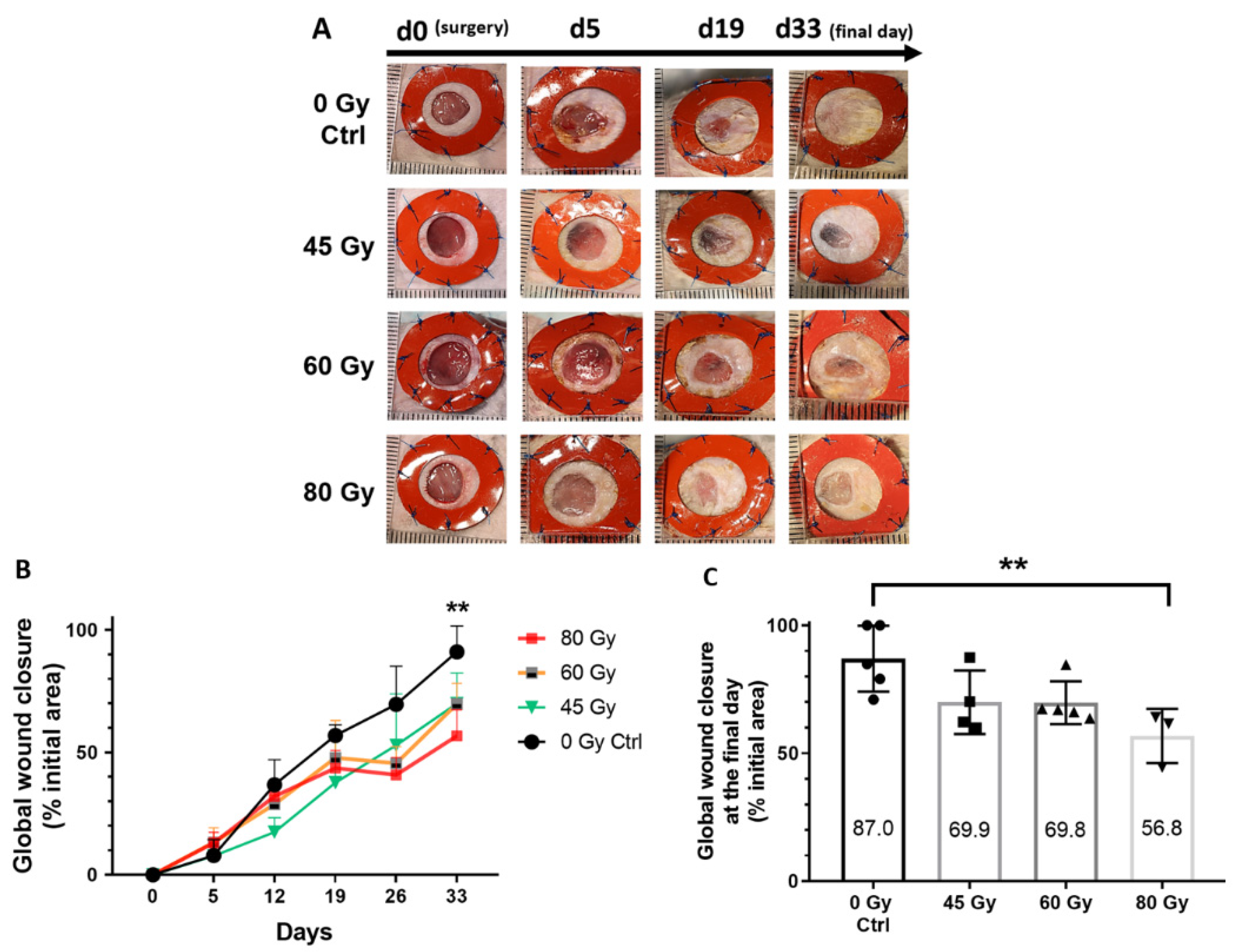 Surgeries 02 00004 g007