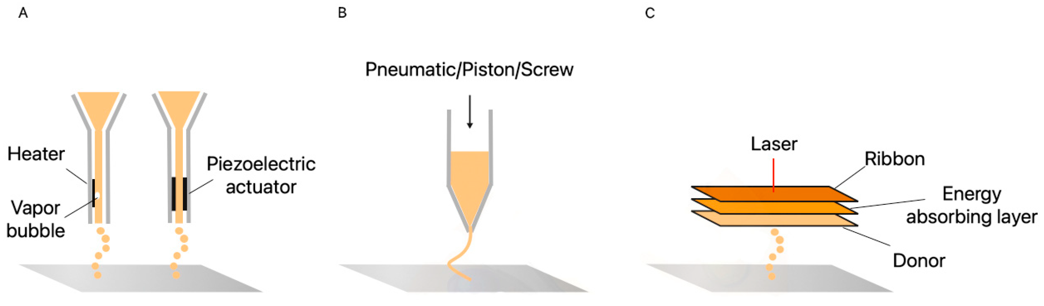 Surgeries 02 00005 g003 Surgeries 02 00005 g003